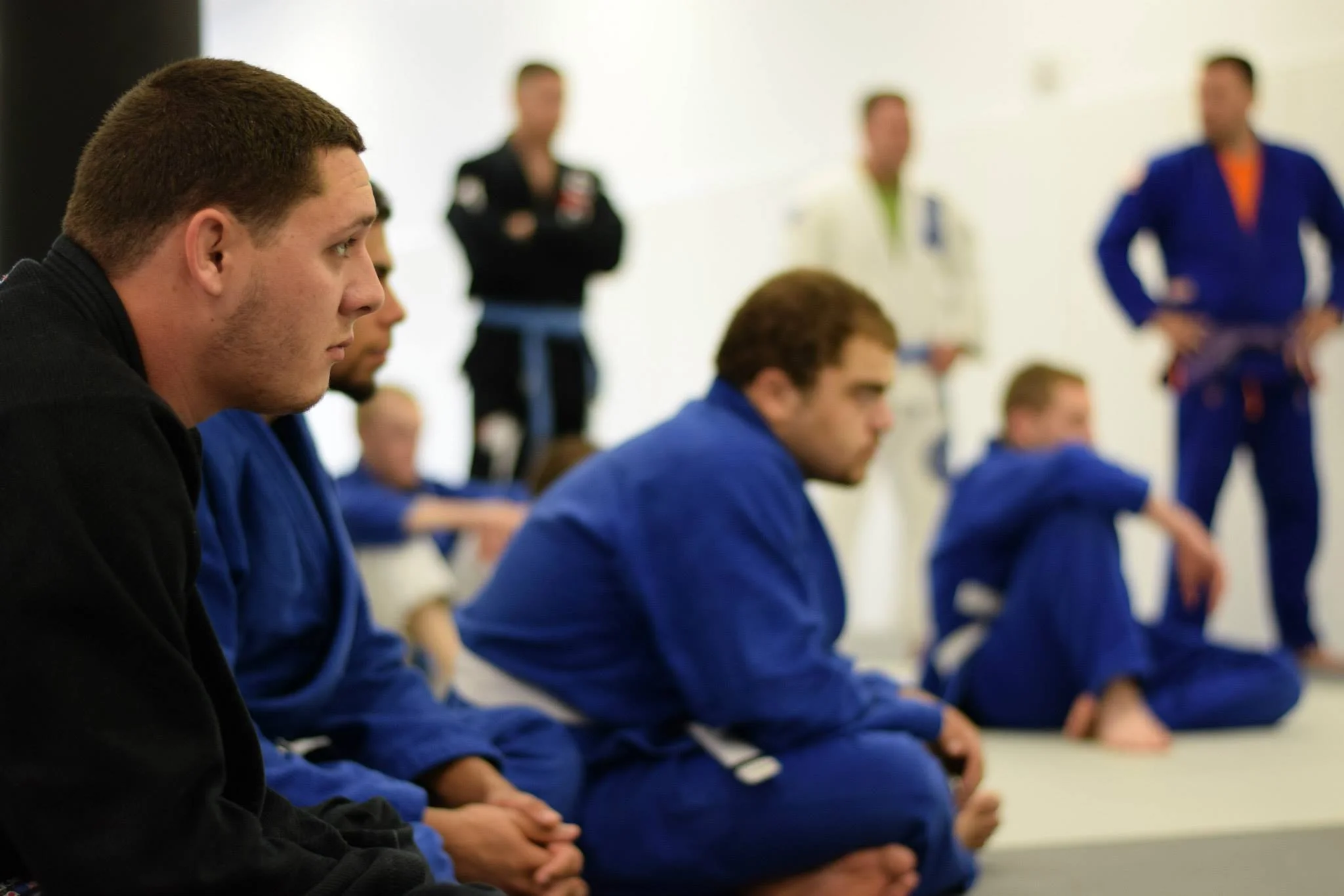 Advanced Students Concentrating On the Lesson