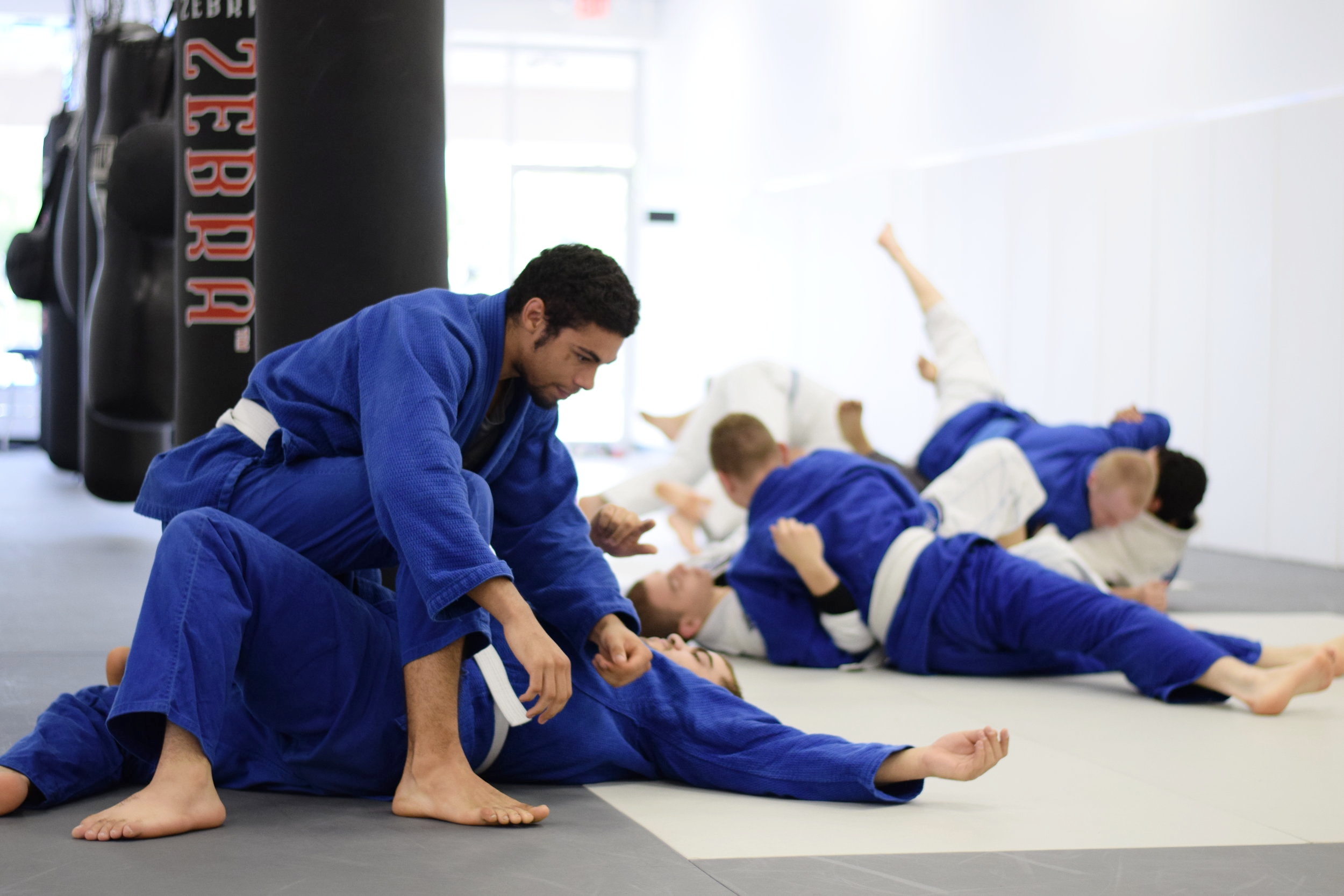  White belts drilling techniques during a beginner class 