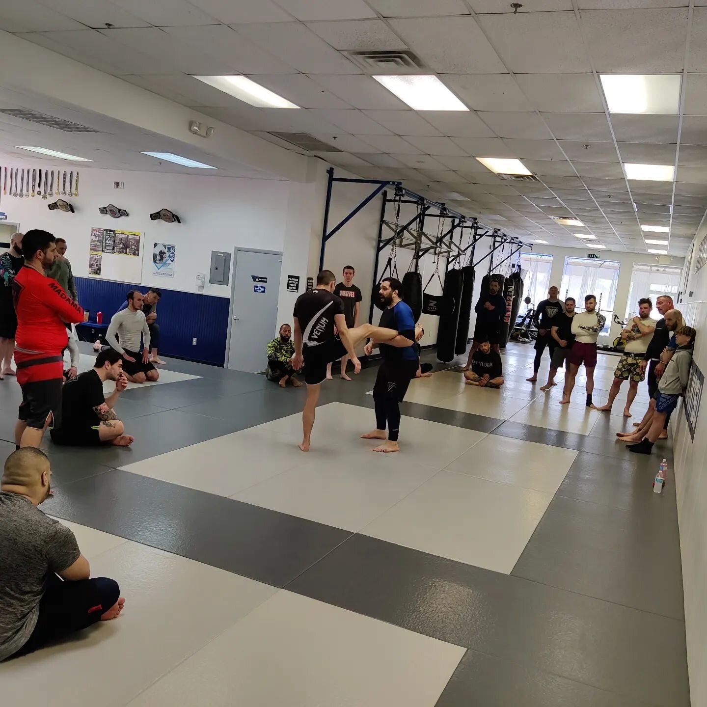 Saturday Jiu Jitsu! Great to see a packed room.
