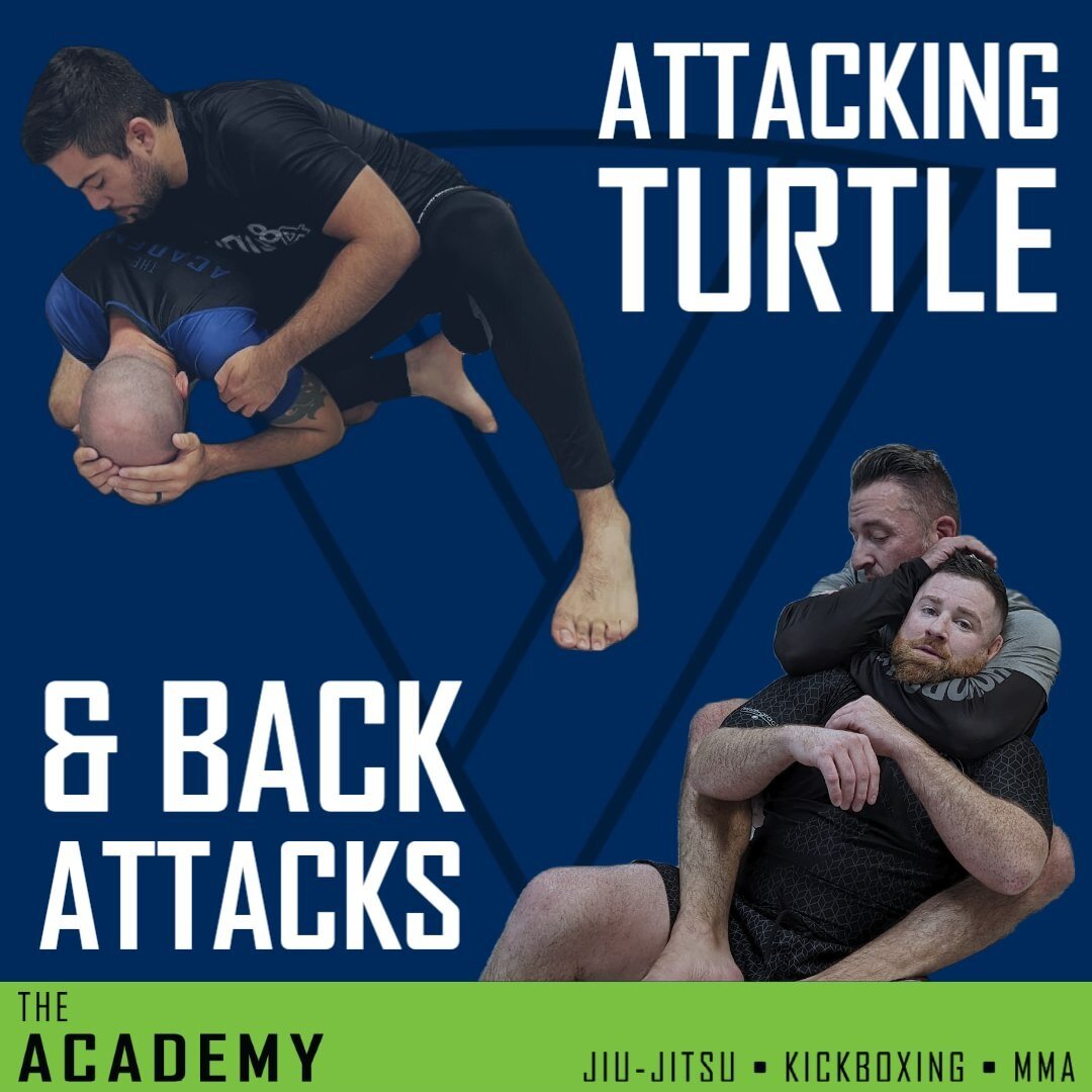 Turtle &amp; Back for All-Levels &amp; Advanced this week! #bjj #tomsriverbjj #njbjj #mma #kickboxing #academyofjj #jiujitsu #grappling #tomsriver #martialarts
