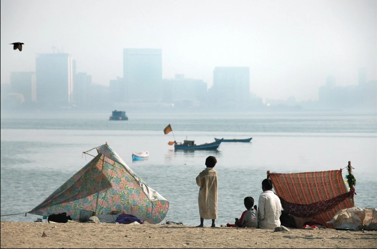 Parallel Lessons from COVID 19 and Climate Change