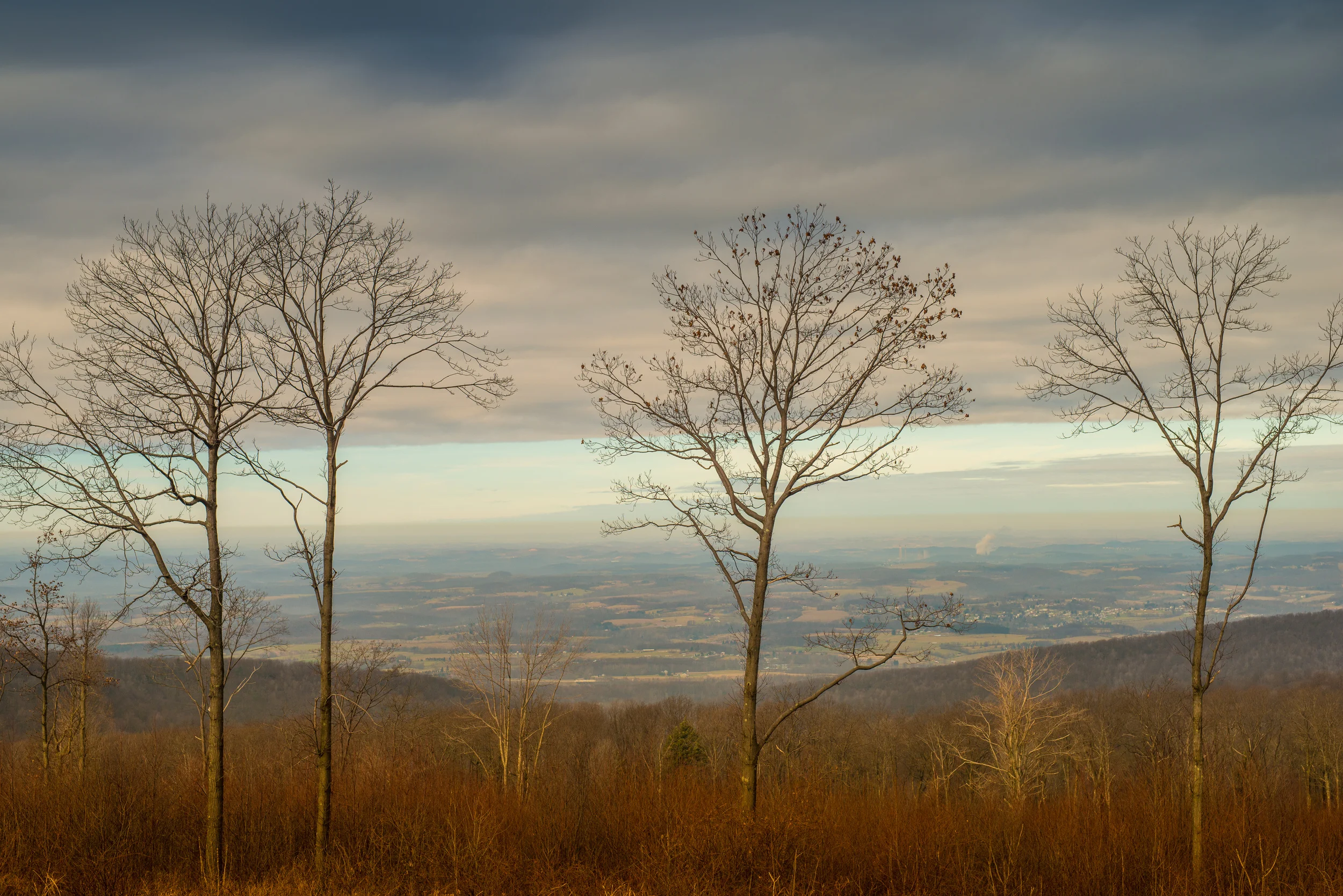 CHESTNUT RIDGE