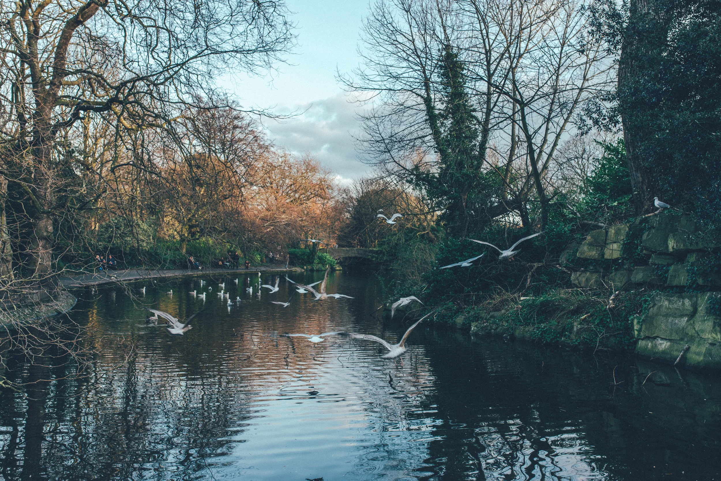 STEPHEN'S GREEN