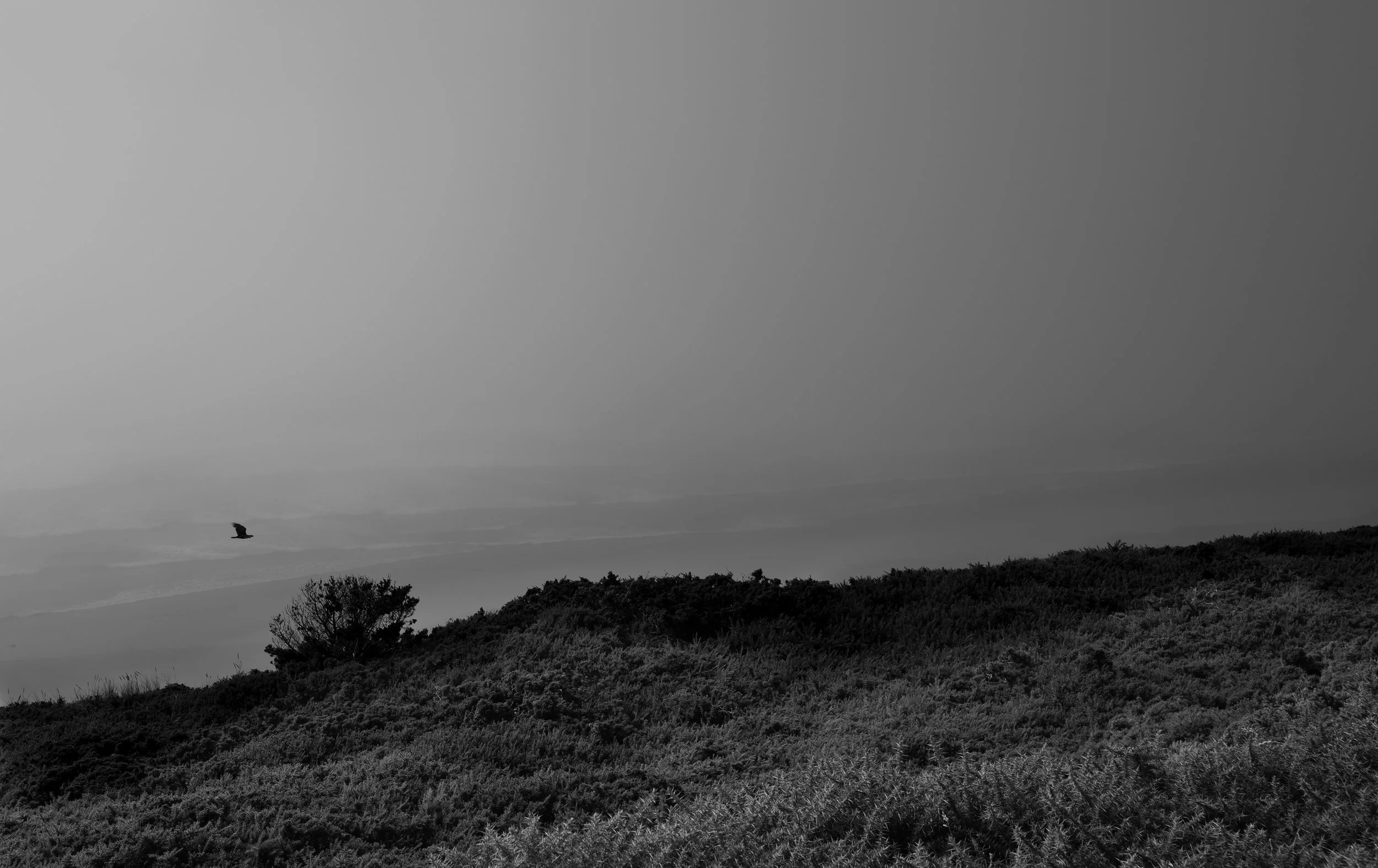 DO01002059.JPG