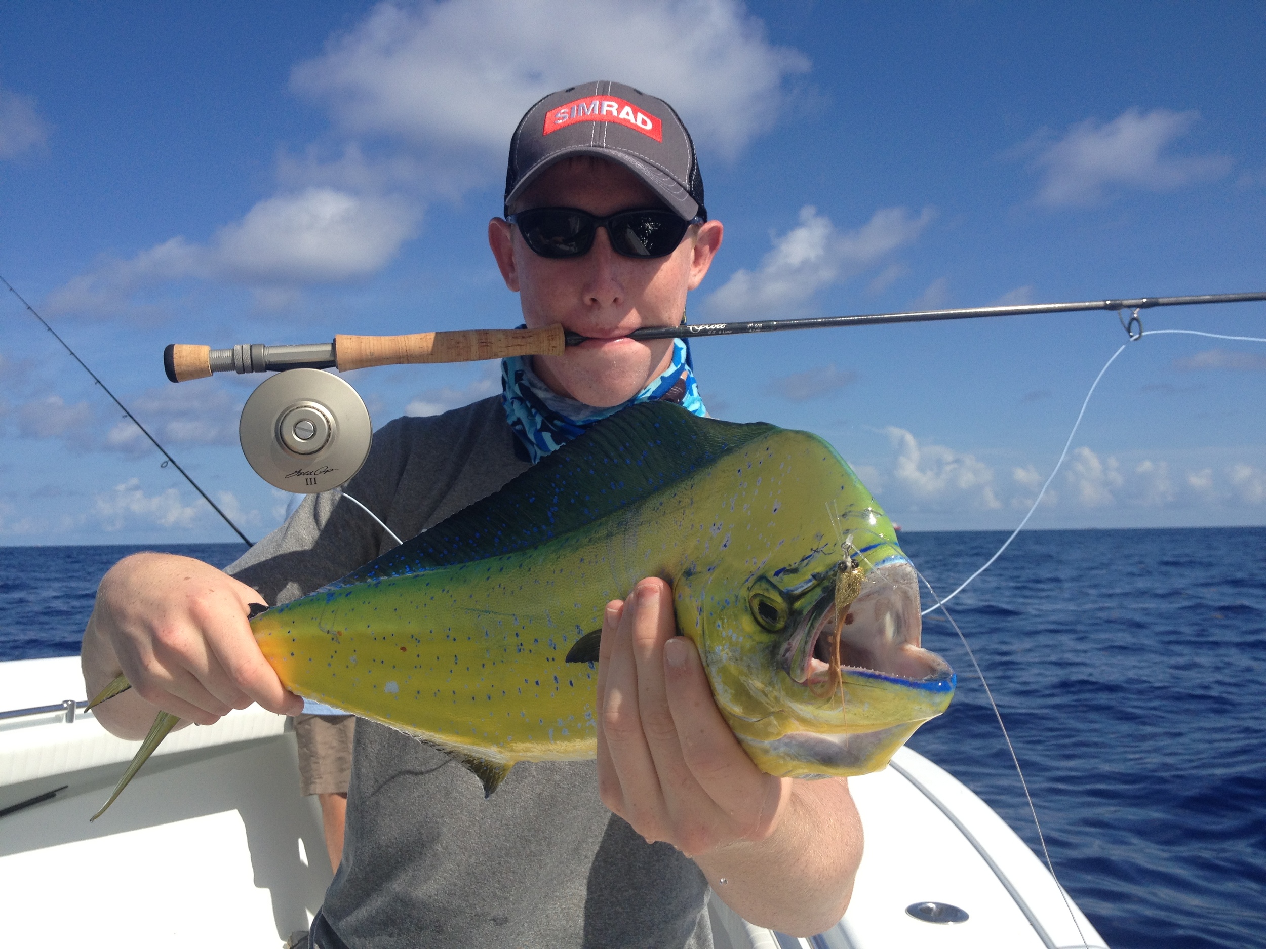 First Dolphin on fly for Turner