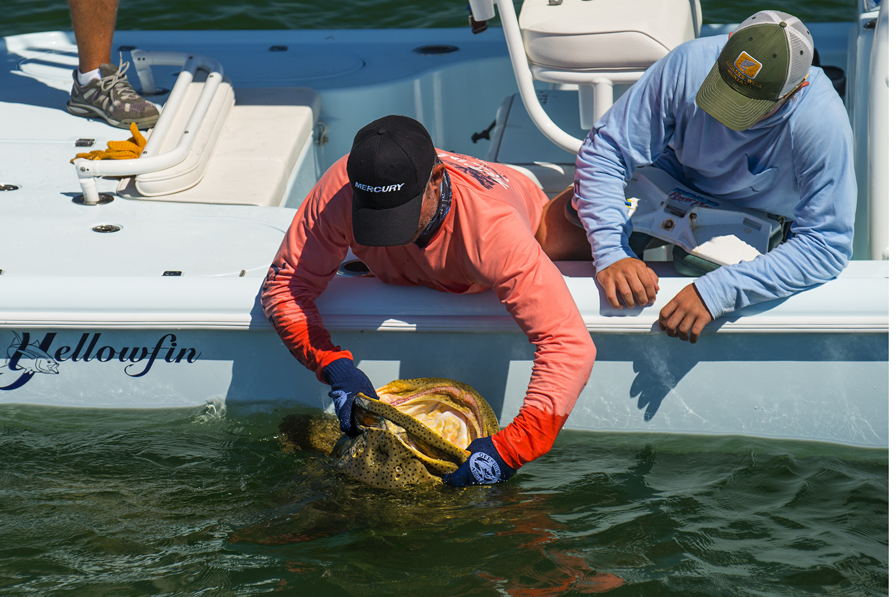Hayden gets a HUGE Goliath Grouper!