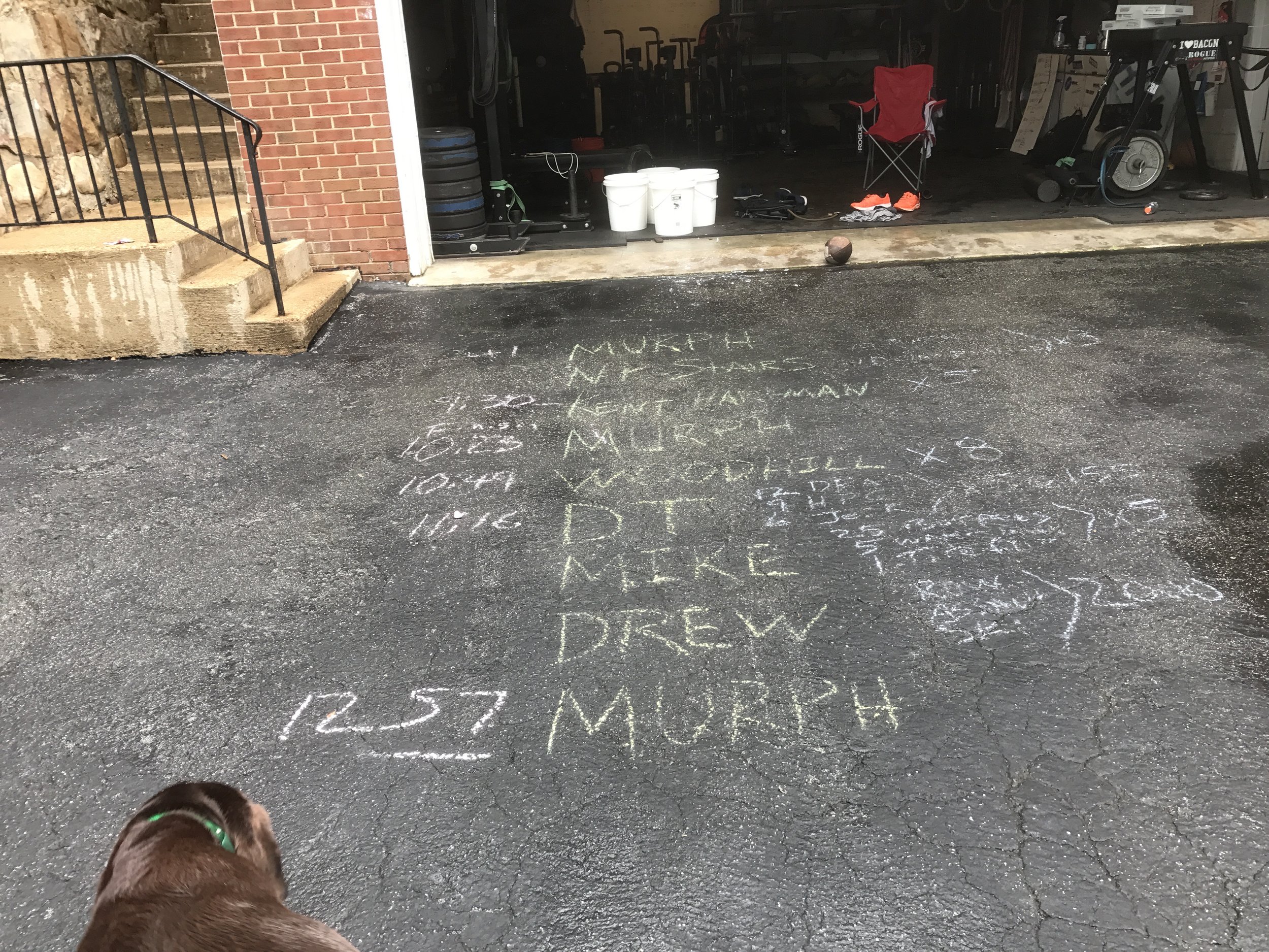 Gus surveys the schedule for today