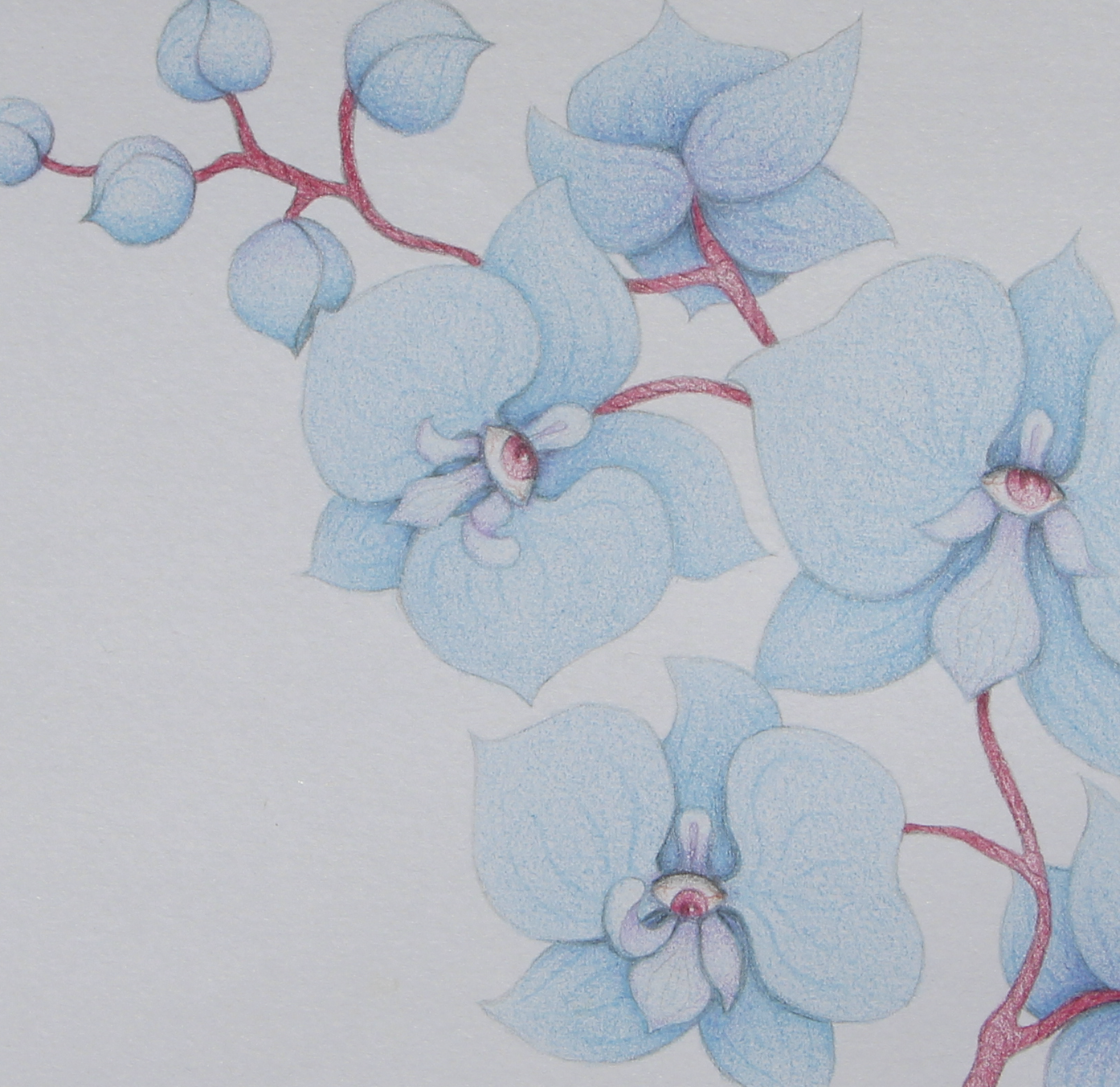 Screen Shot 2022-03-11 at 11.01.26 AM.png