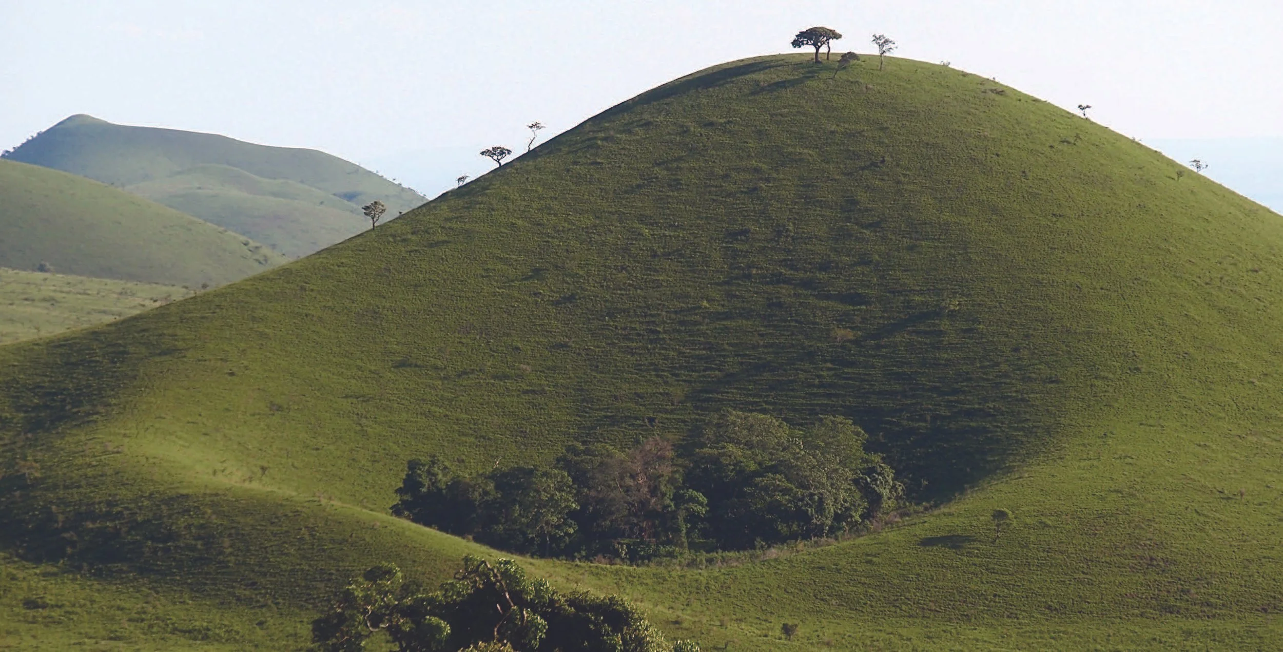 Missa_Gaia_IG_Green Hill_Page_1_Image_0001.jpg