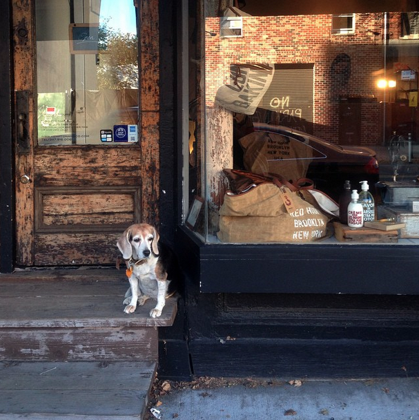 I Travel Like a Local