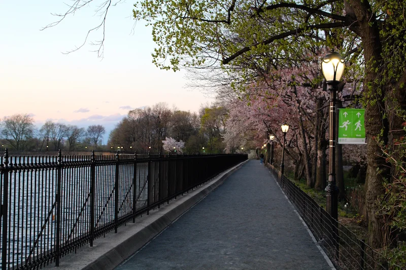 Photo Essay: Celebrating Spring in New York City