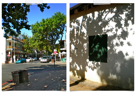 stellenbosch streets.jpg