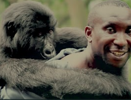 Virunga: The Movie