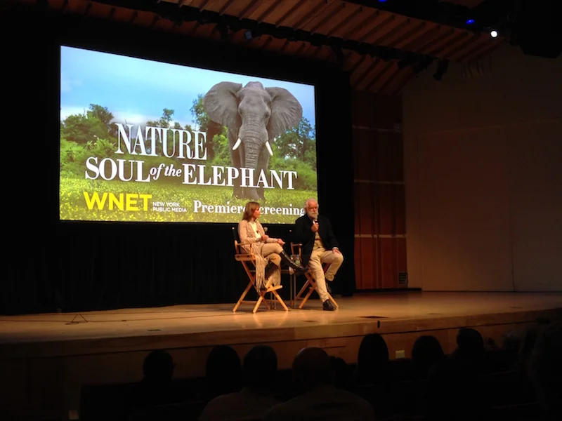 Soul of the Elephant