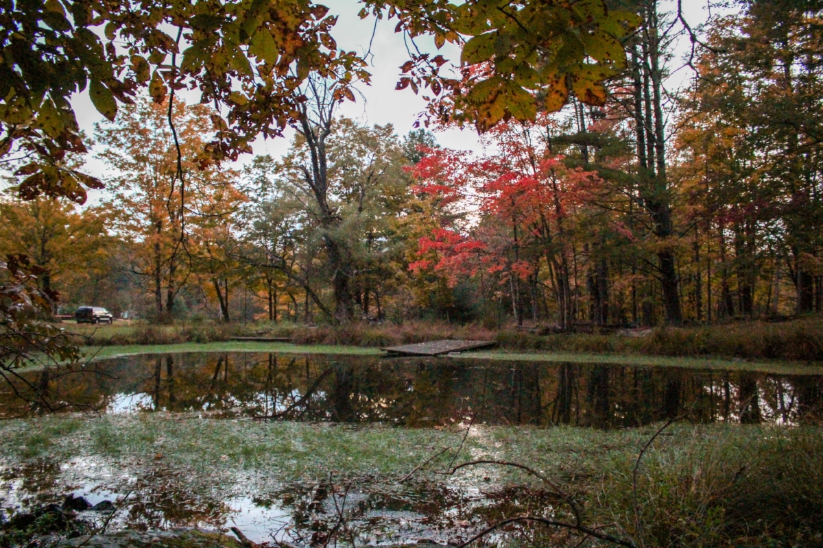 Terravelo Tours, glamping, Woodstock, New York, Upstate New York, camping, autumn