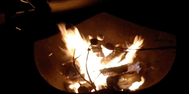 roasting marshmallows with terravelo.gif