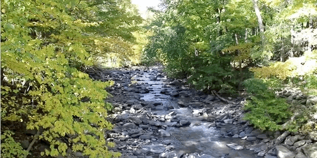 catskills weekend autumn river.gif
