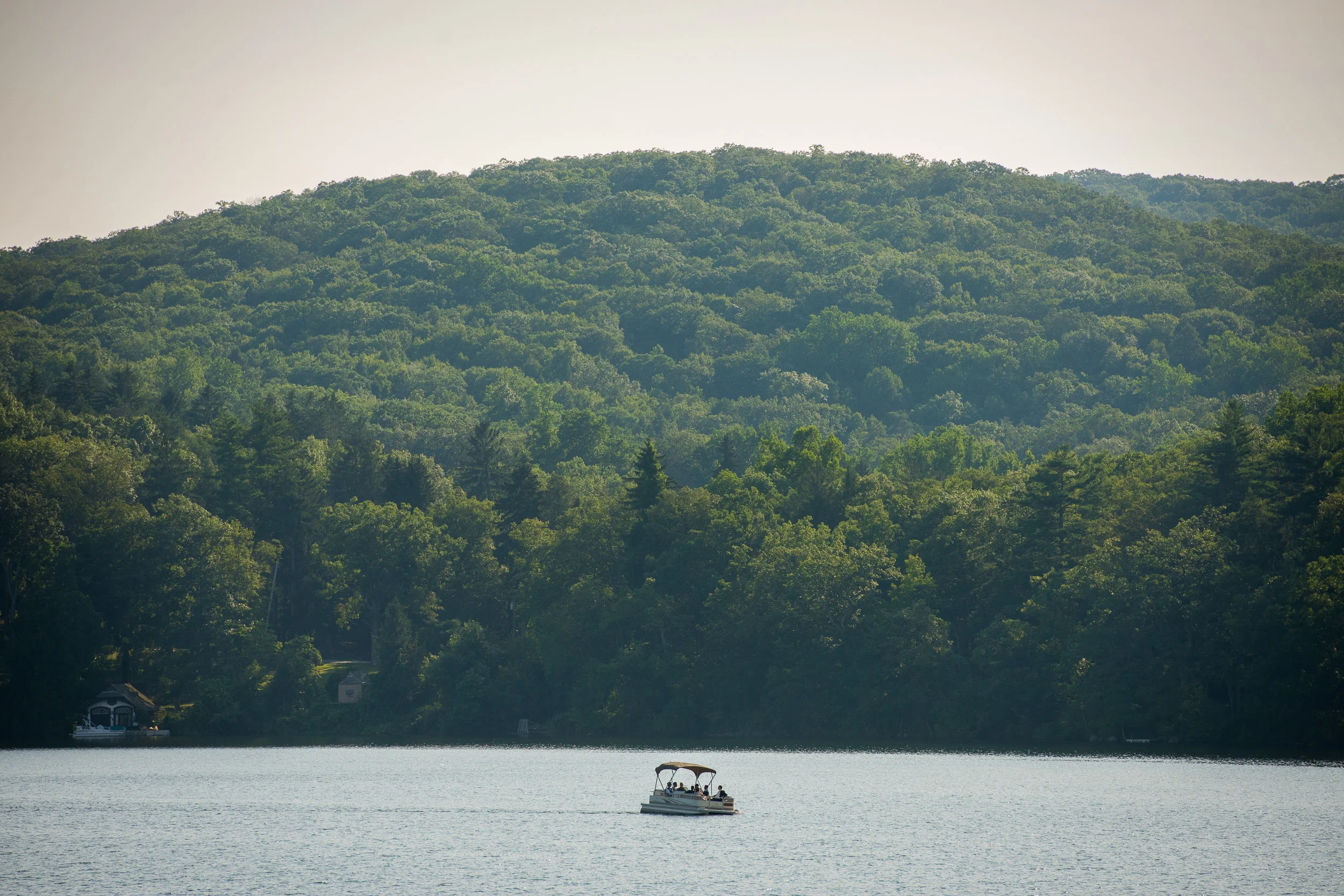 Brier0040.JPG