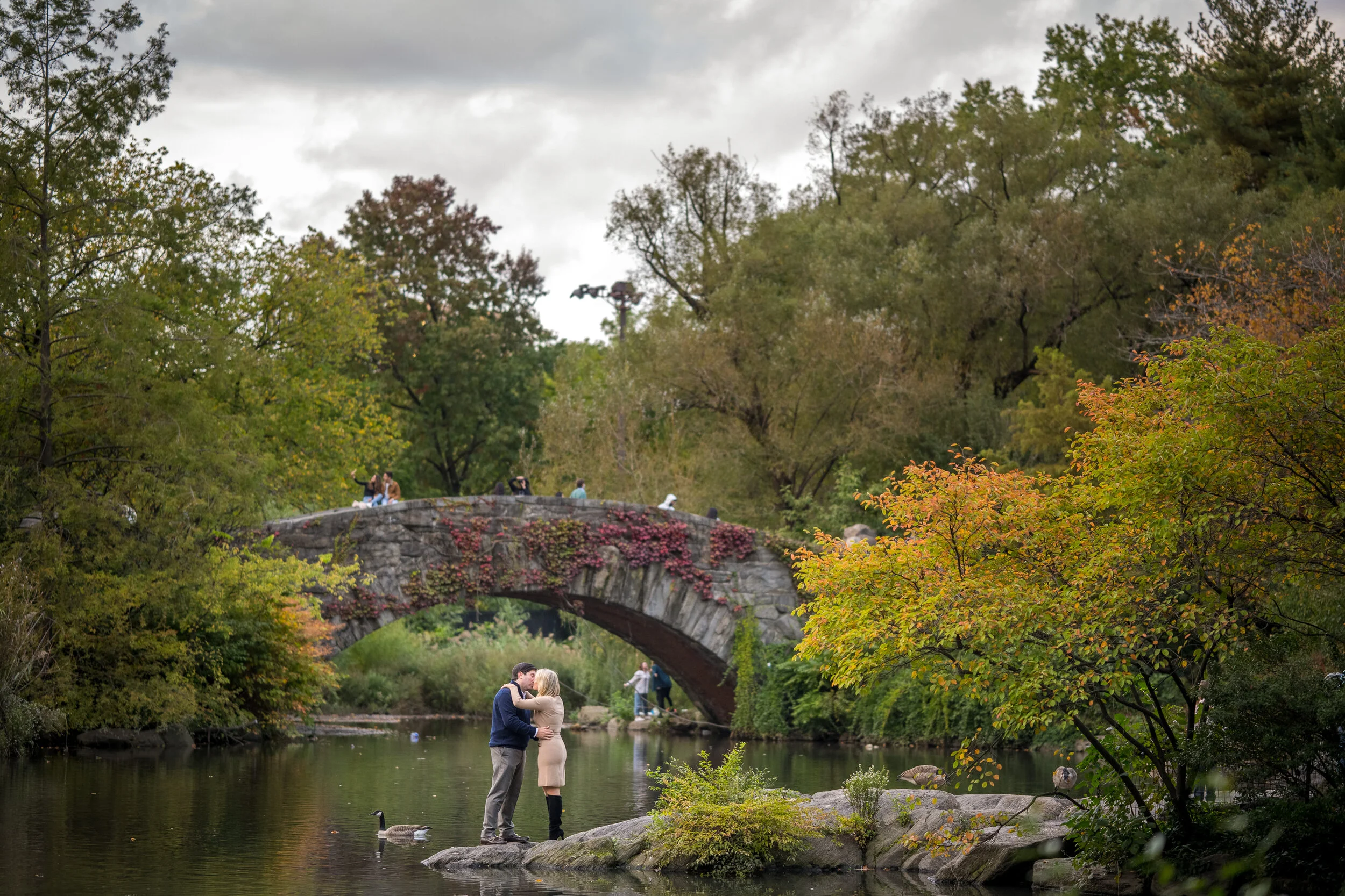  Central Park Engagement Shoot 