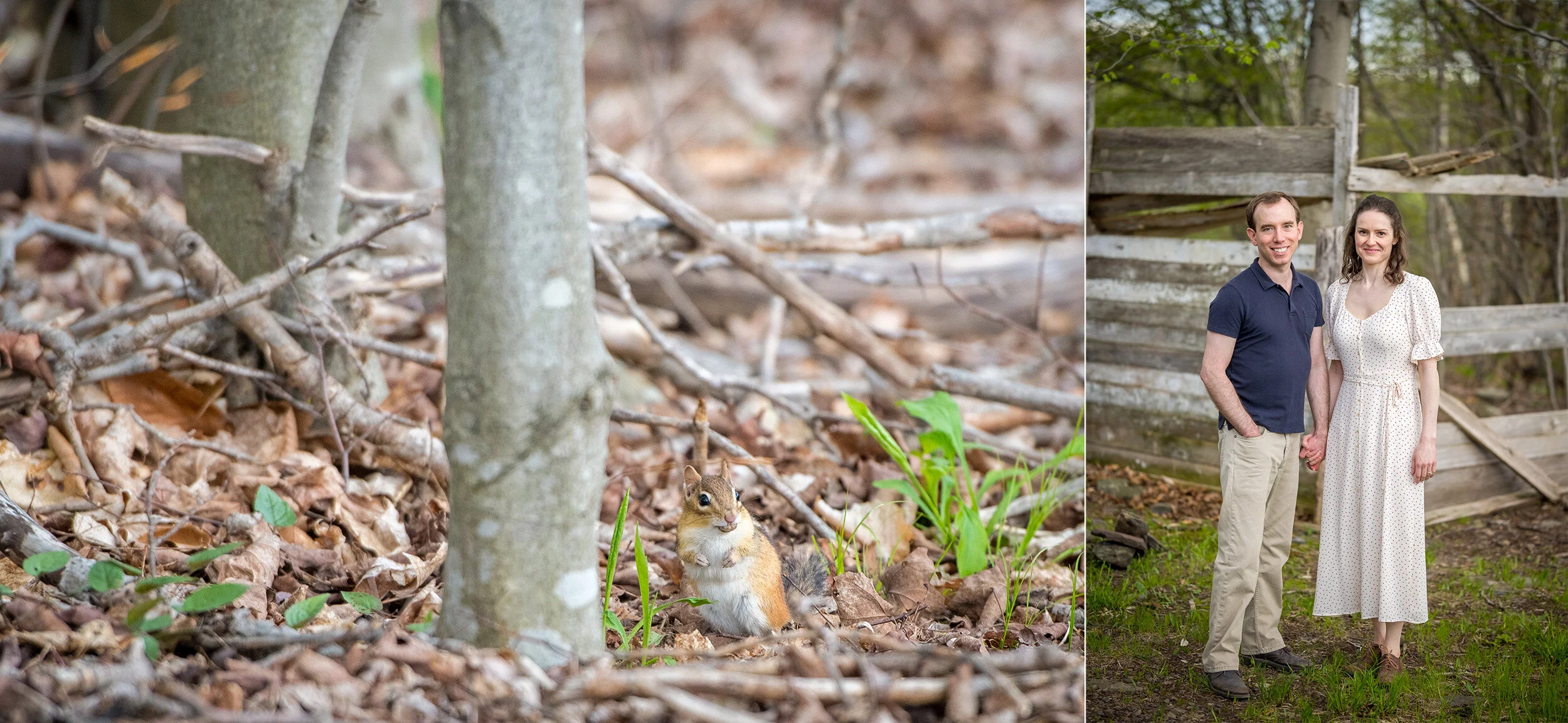  Engagement photos shot at The Windham Path in Upstate New York. (photo by Craig Warga Weddings) 