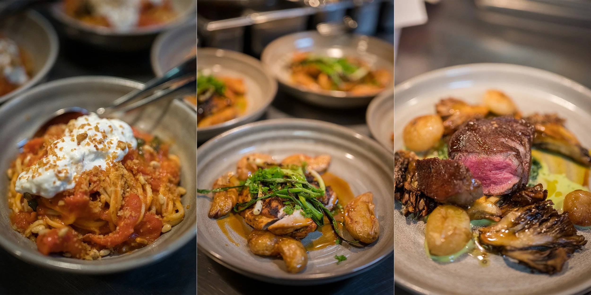 AmaliRehearsalDinner0095.JPG