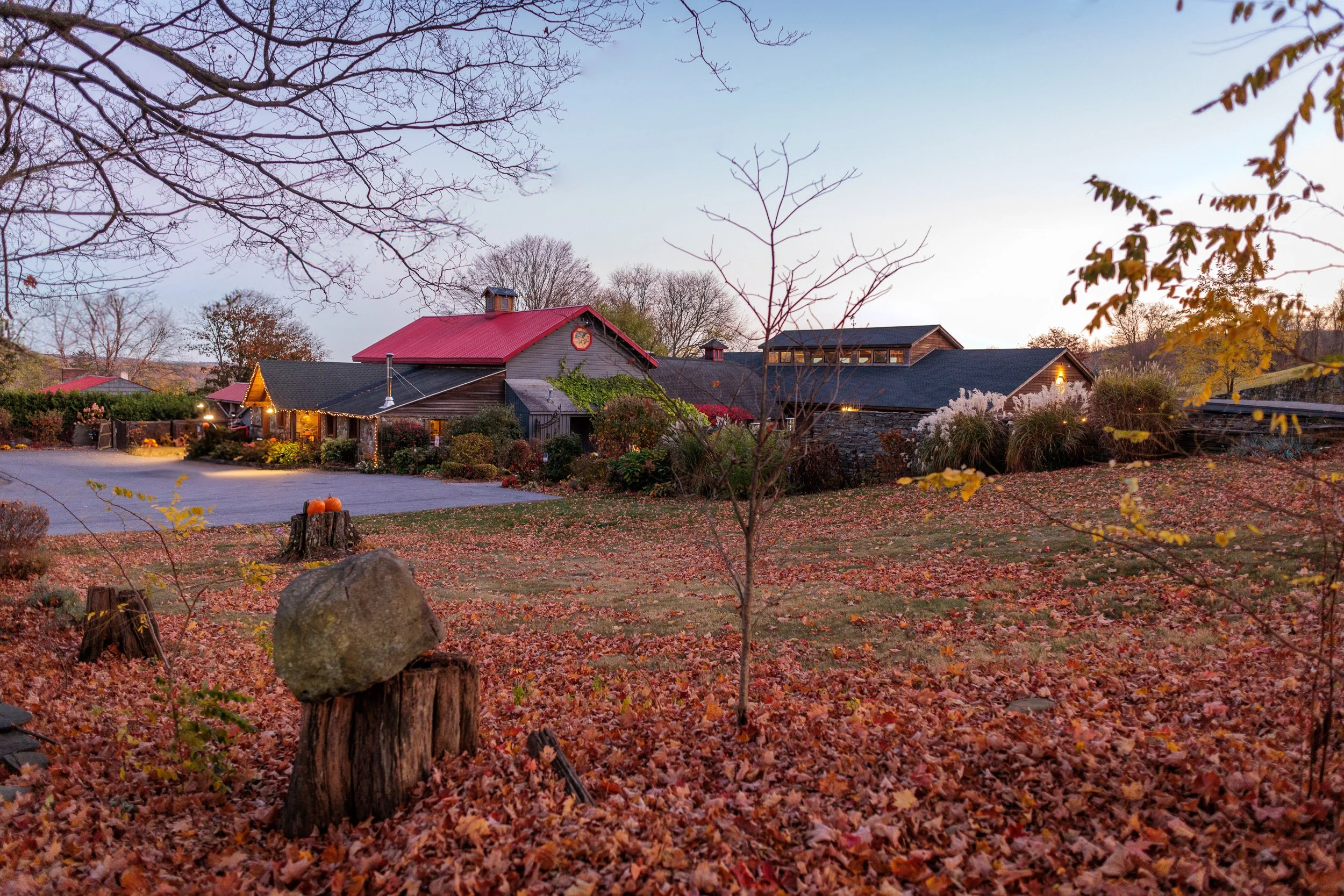 RedMapleVineyardWedding00064.JPG