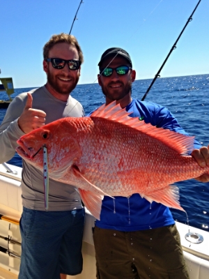 Matagorda Sow Red Snapper