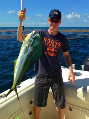 mahi mahi caugh on a weedline