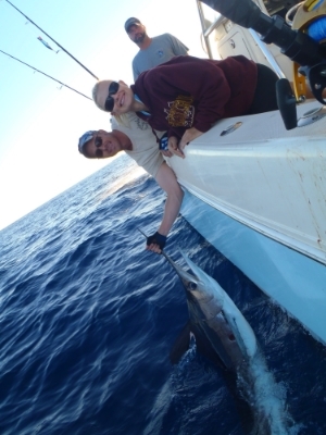 White marlin