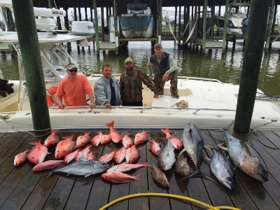  Tuna, Yellowedge&nbsp;Grouper, Red Snapper, Amberjack 