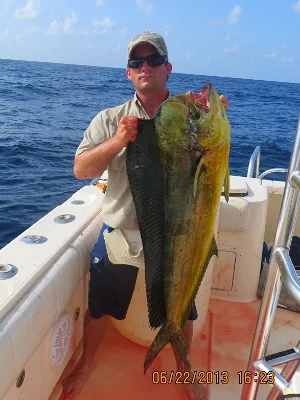  Bull Mahi Mahi Texas offshore fishing 