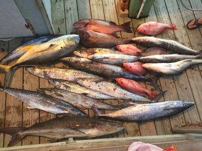  10 hour offshore day trip Matagorda 