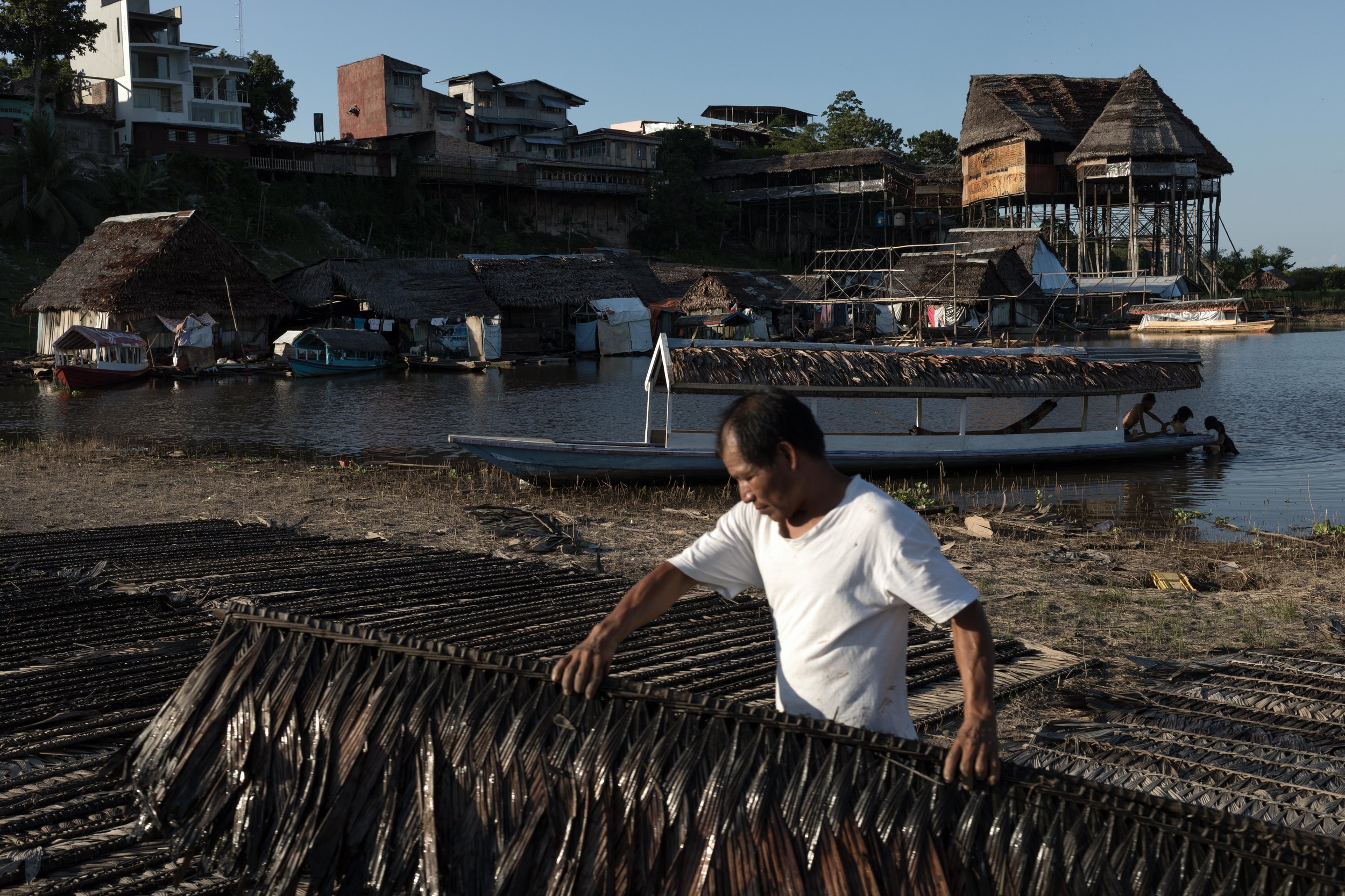 Mr. Alcides lining up palm leaves to use as roof on his house - Iquitos, Peru