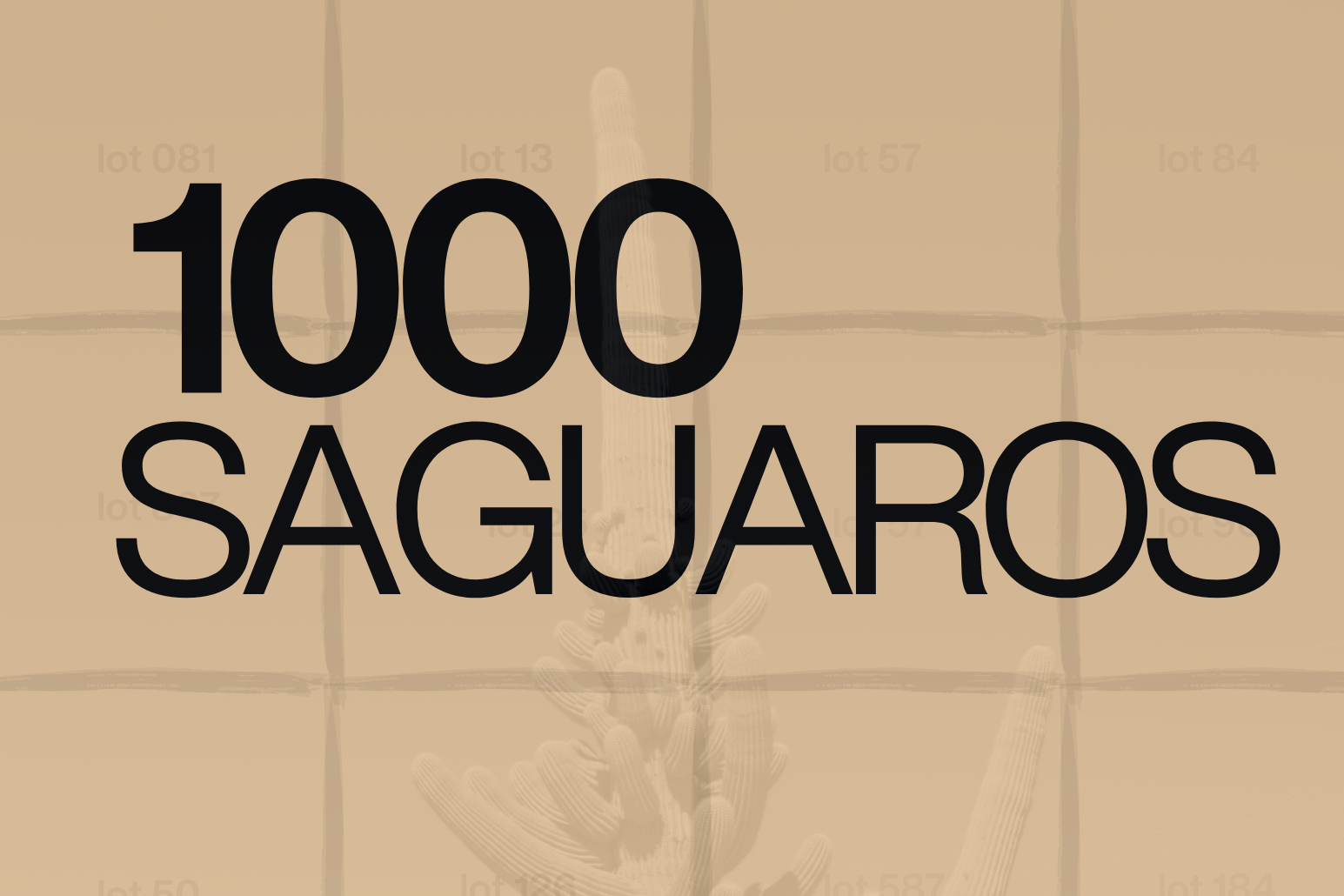 1000 Saguaros