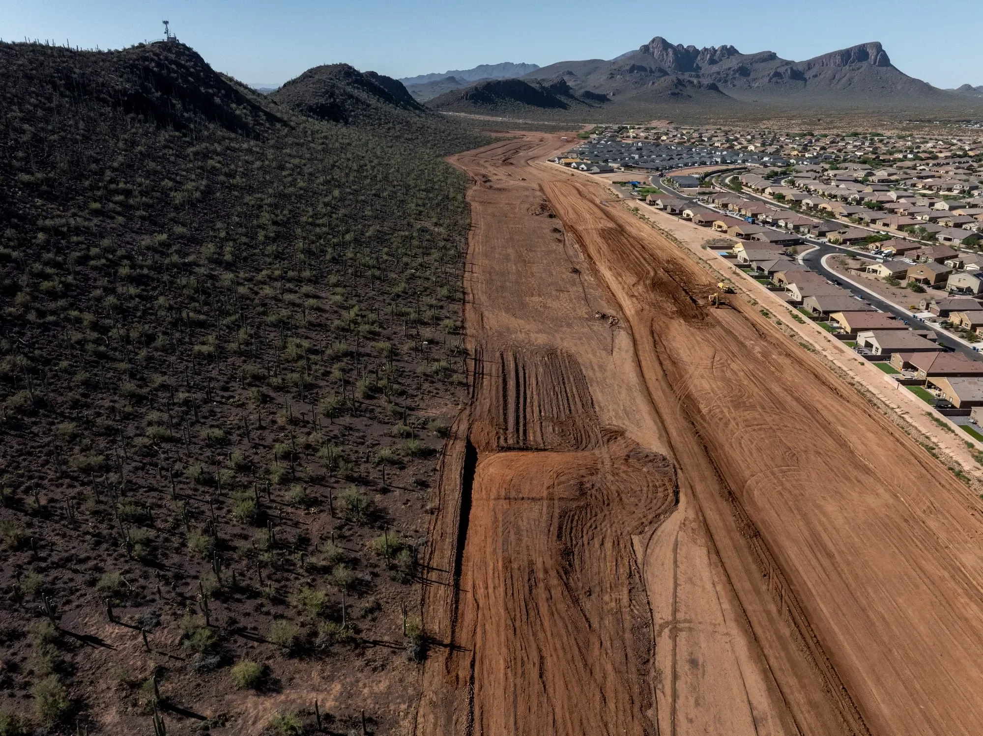 The Manual Labor of Conservation
