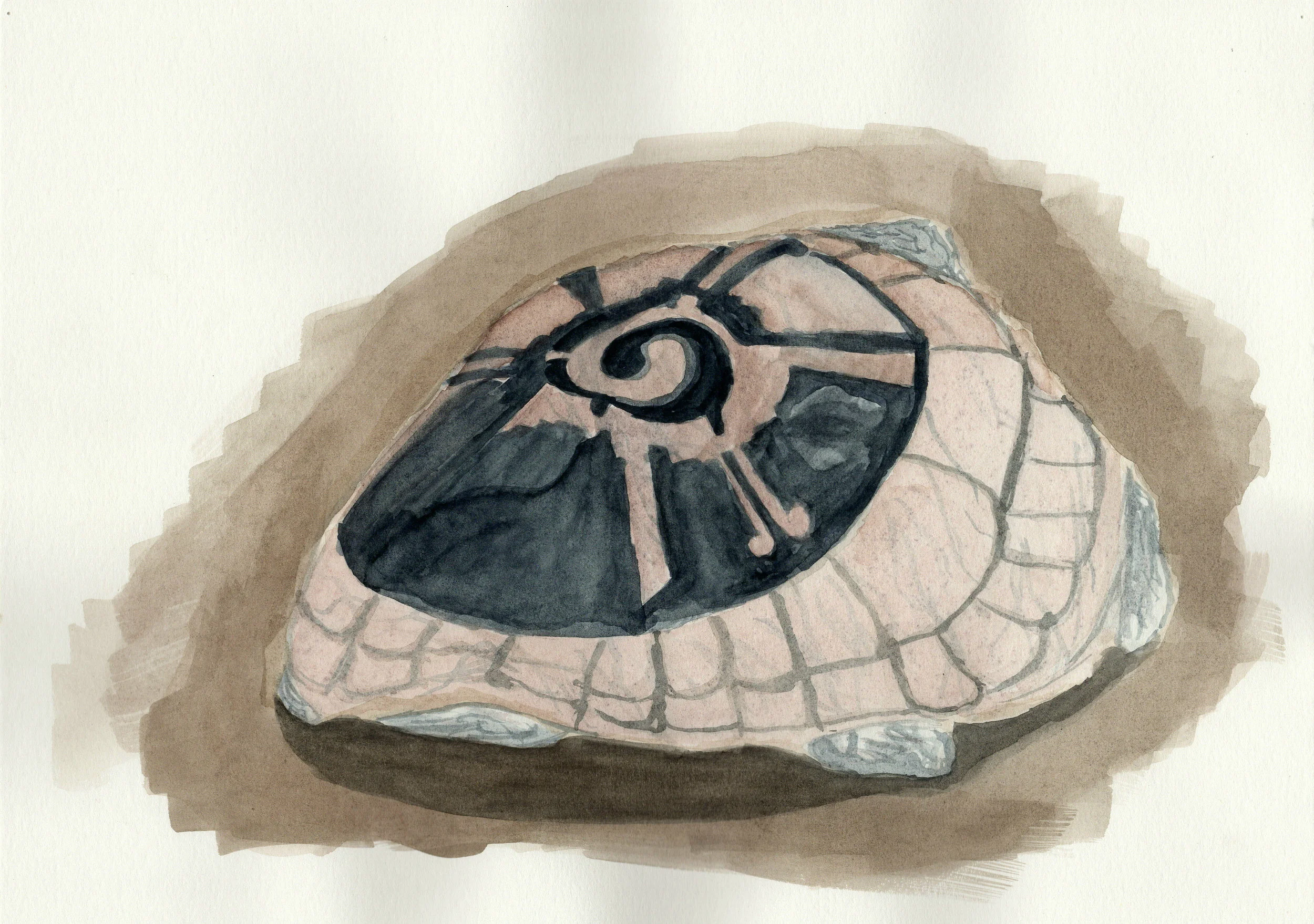 Stone Tortoise