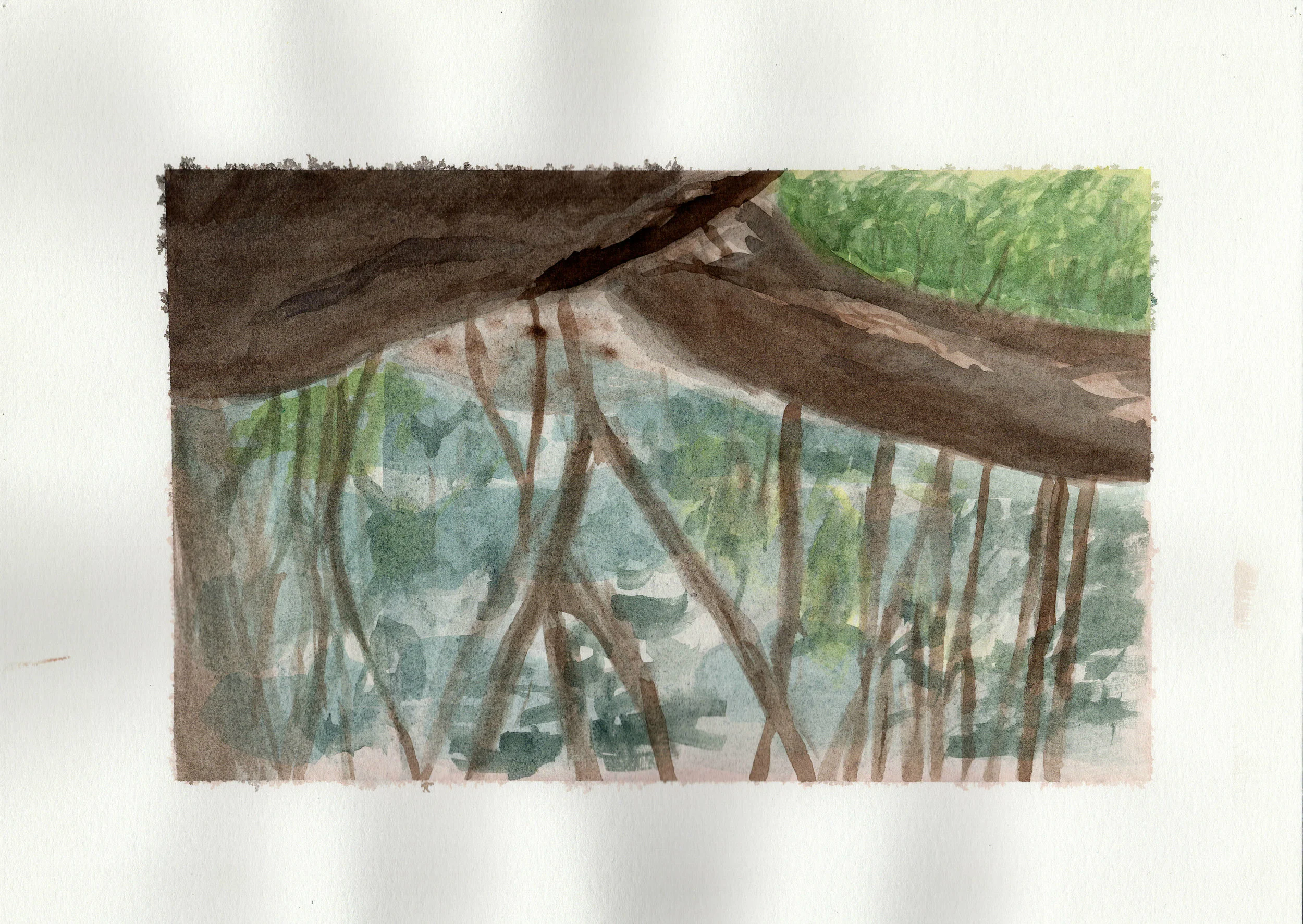 Creek View