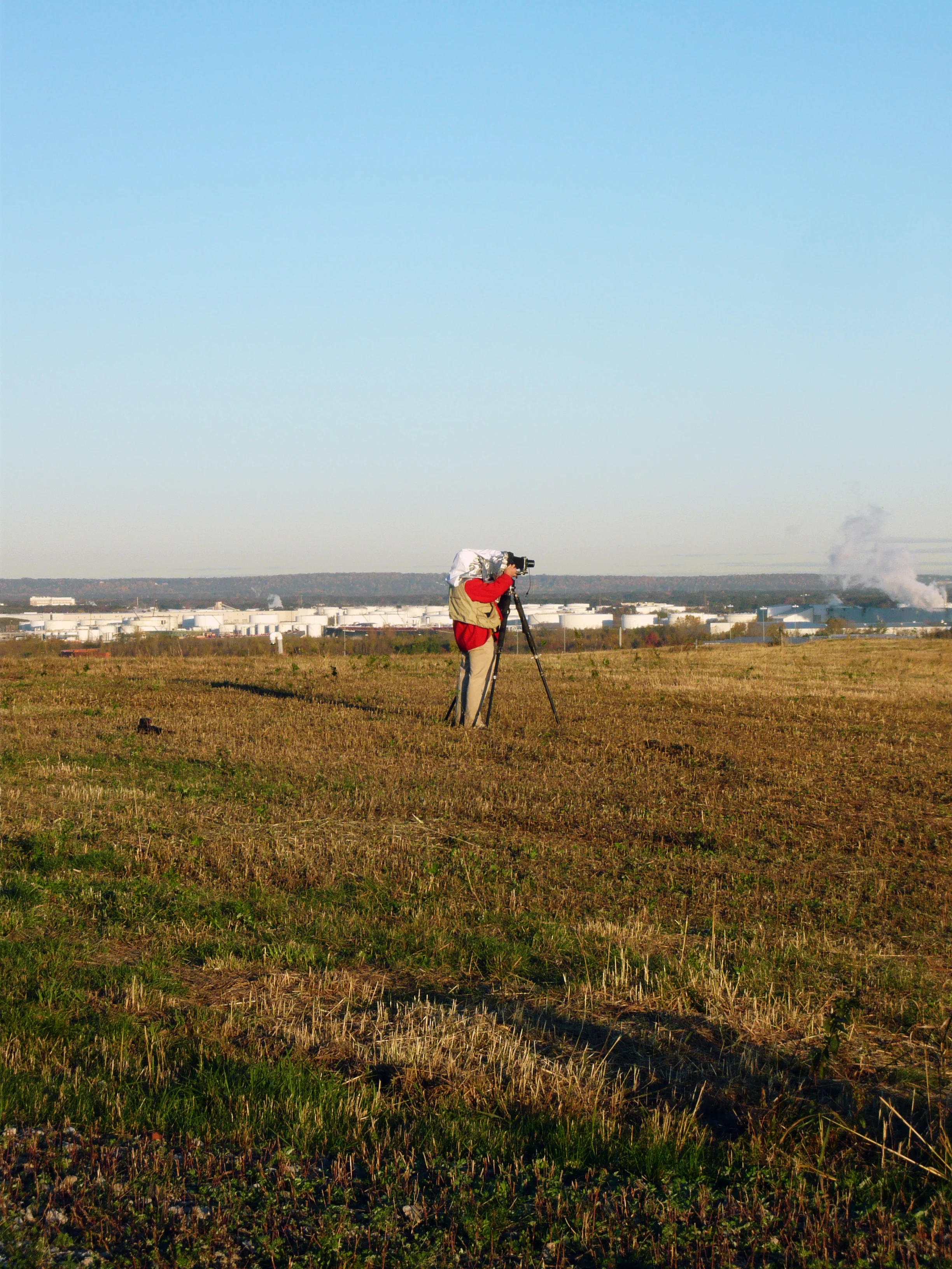 Photographers' Tours. I led early-morning seasonal tours of the site for photographers, giving them time, access to and roam of the site they could not acquire otherwise.