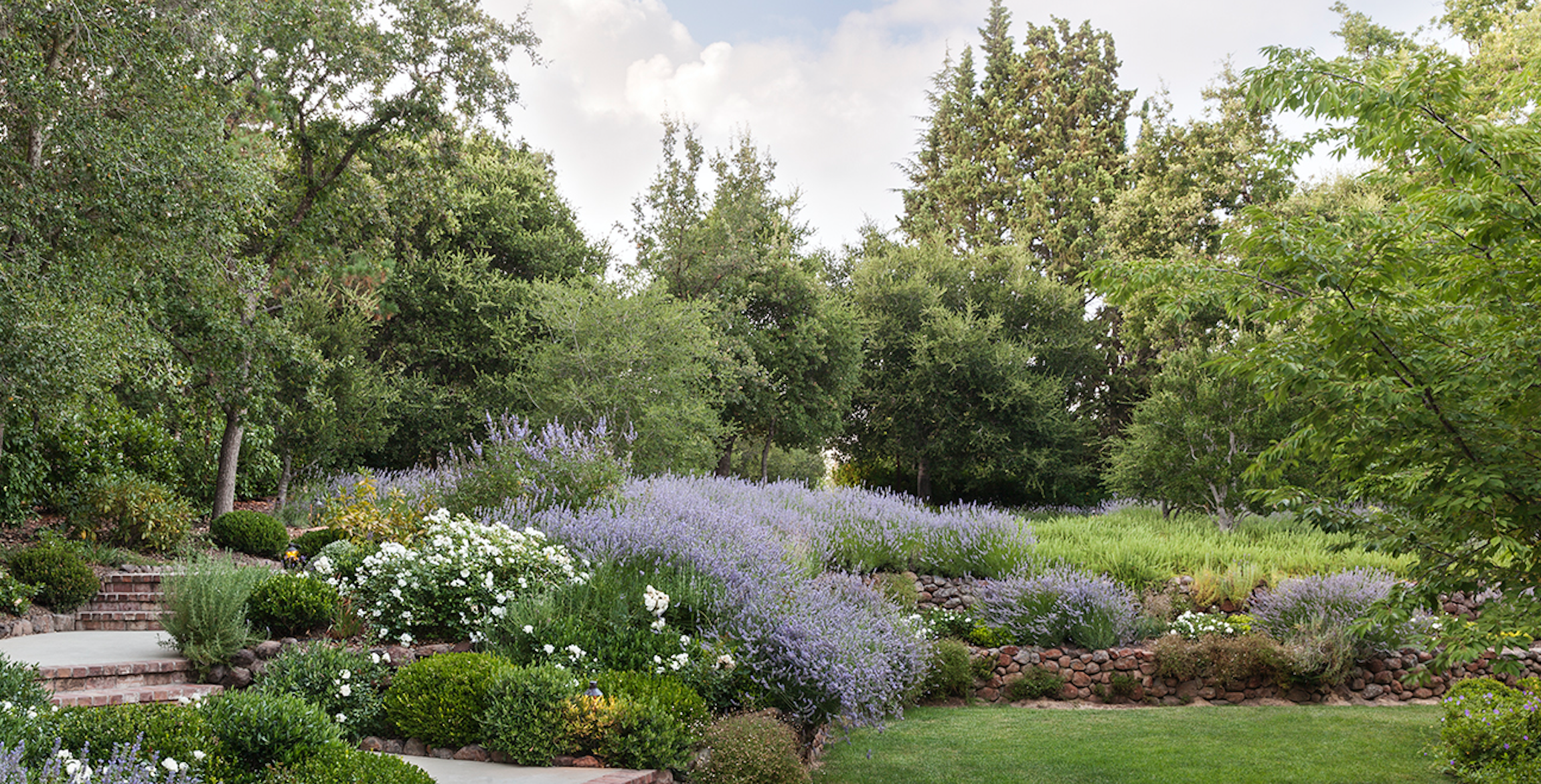 Elizabeth Everdell Garden Design