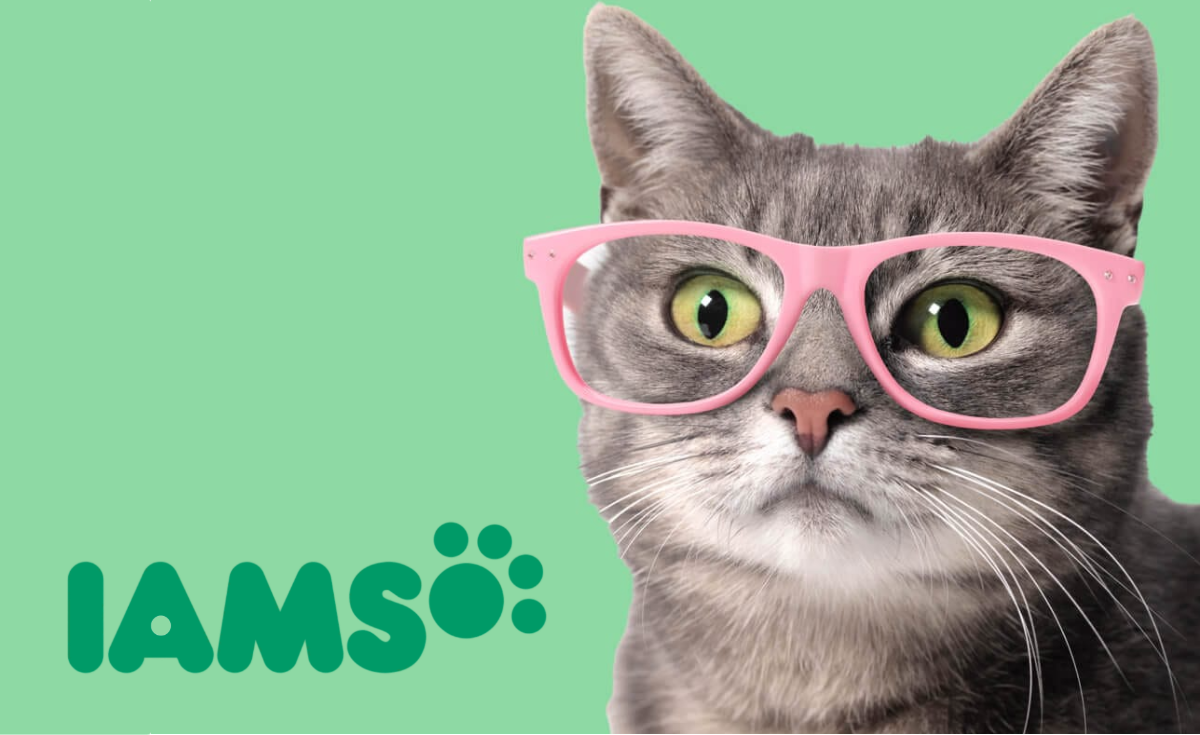 iams_cover.png