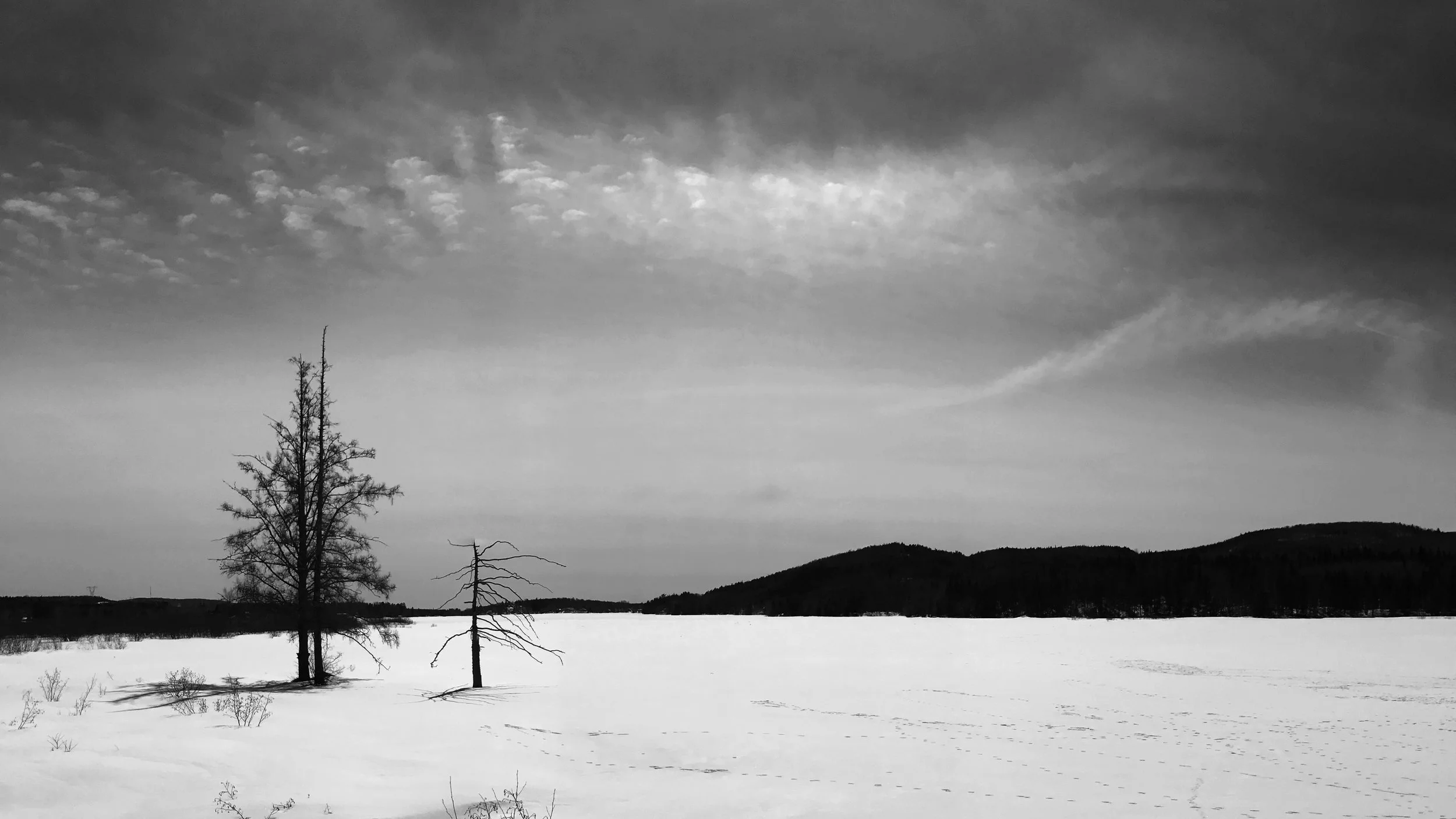 Winter landscape, Stoneham et Tewksbury, March 2017