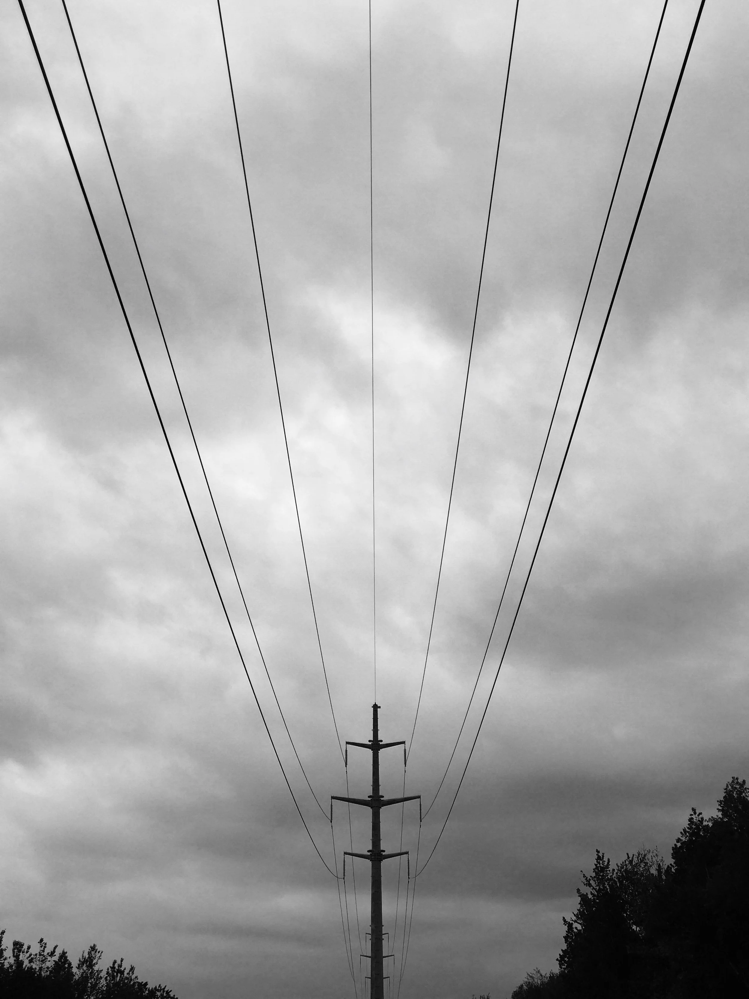 Power lines, Quebec City, May 2017