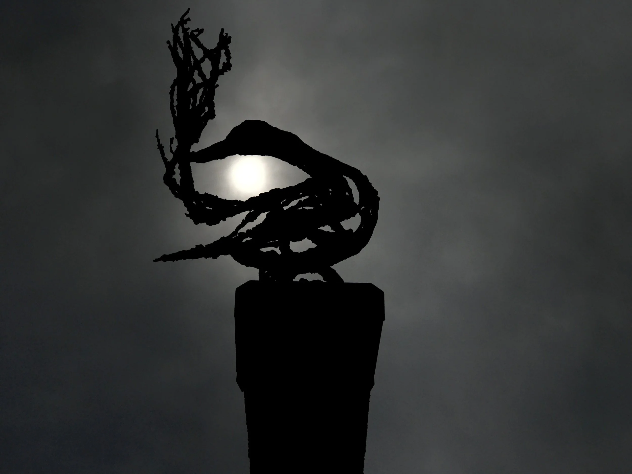 Eye, Quebec City, June 2017