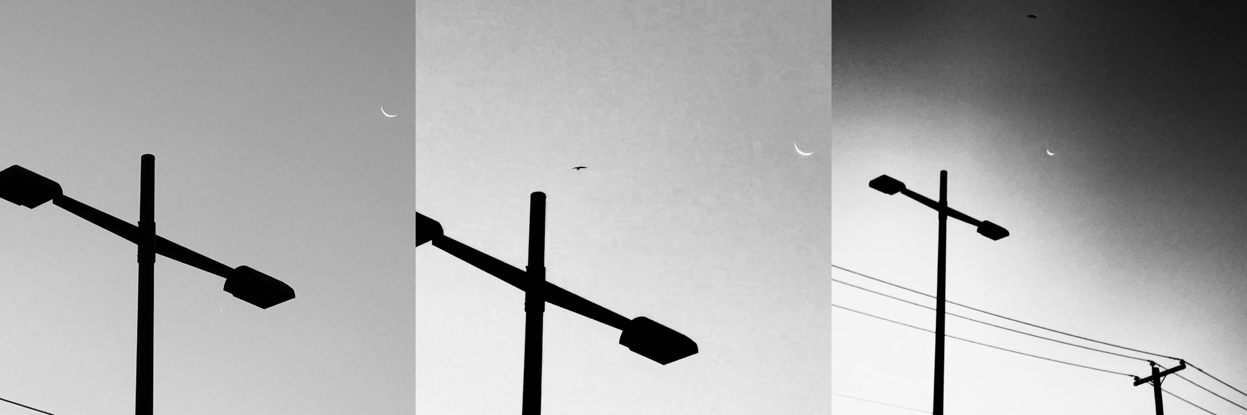 La Lune au Matin, Quebec September 2017 