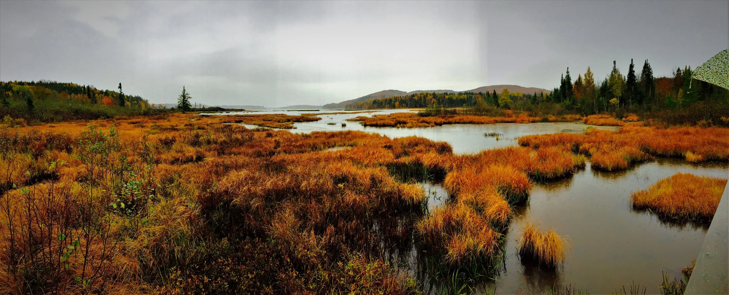 Marshland, Stoneham-et-Tewksbury, October 2016