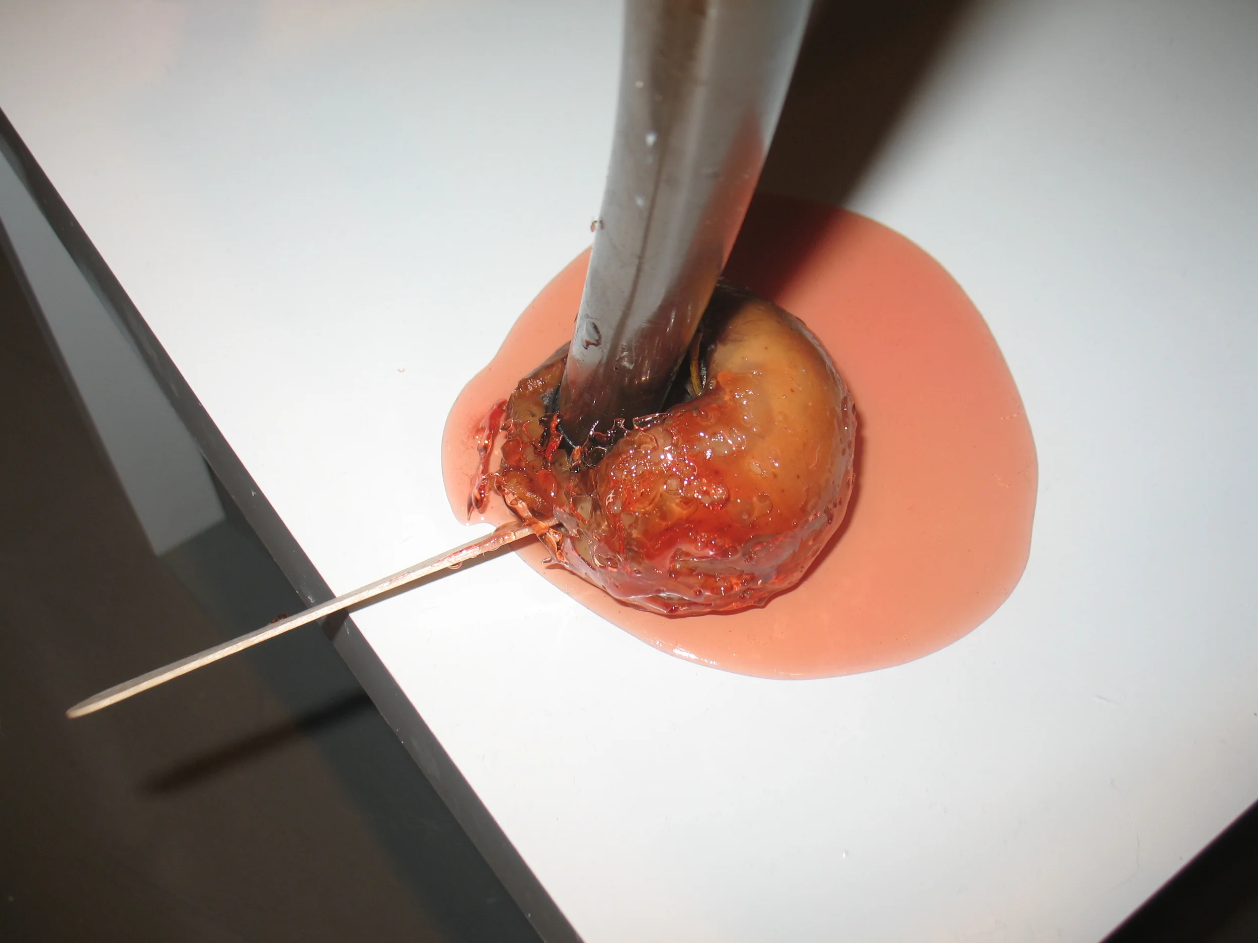 Untitled ( An education)