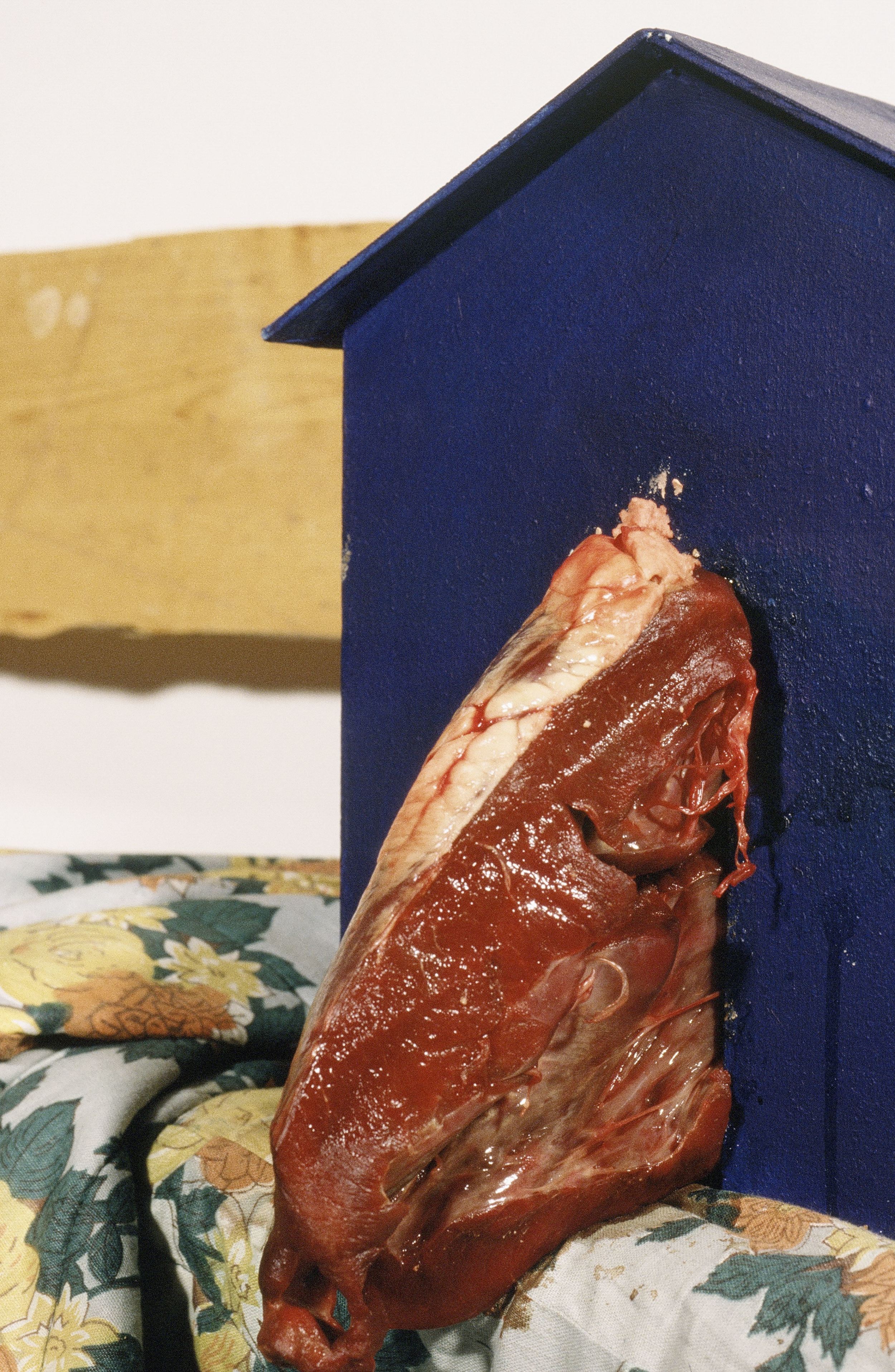 Miles and Miles and Miles of Heart (detail)
