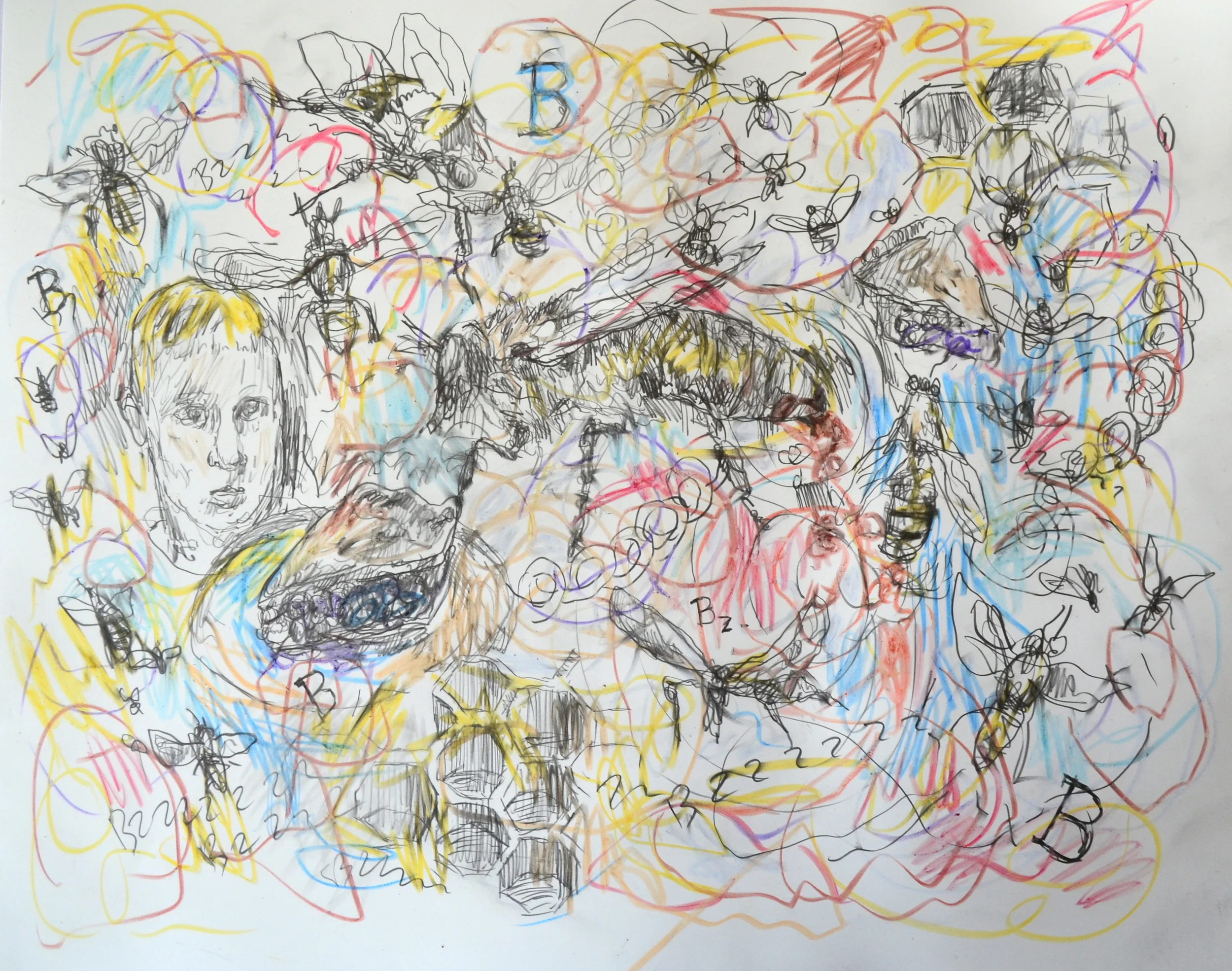 Every B in Chiilwack (drawing detail))