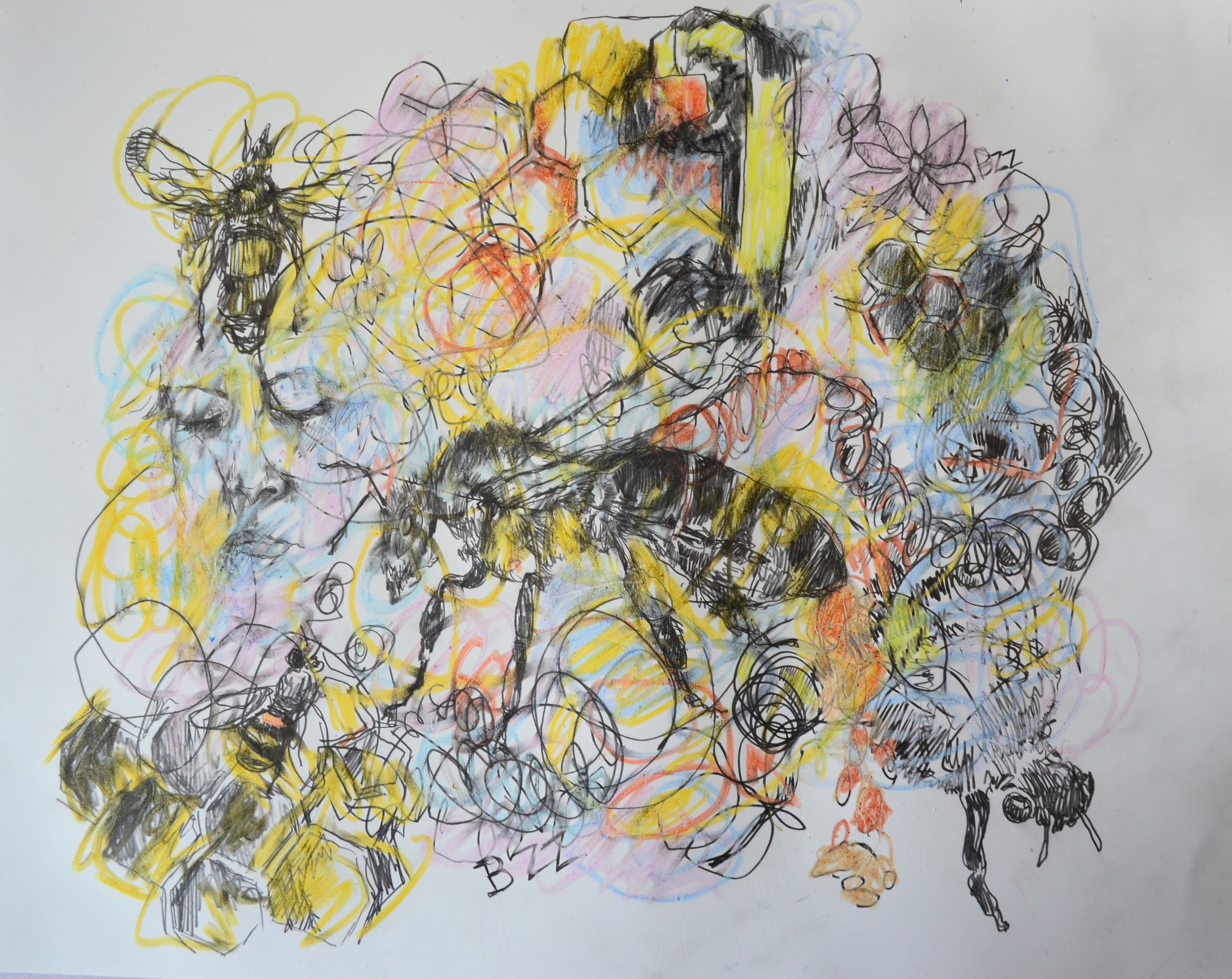 Every B in Chiilwack (drawing detail))