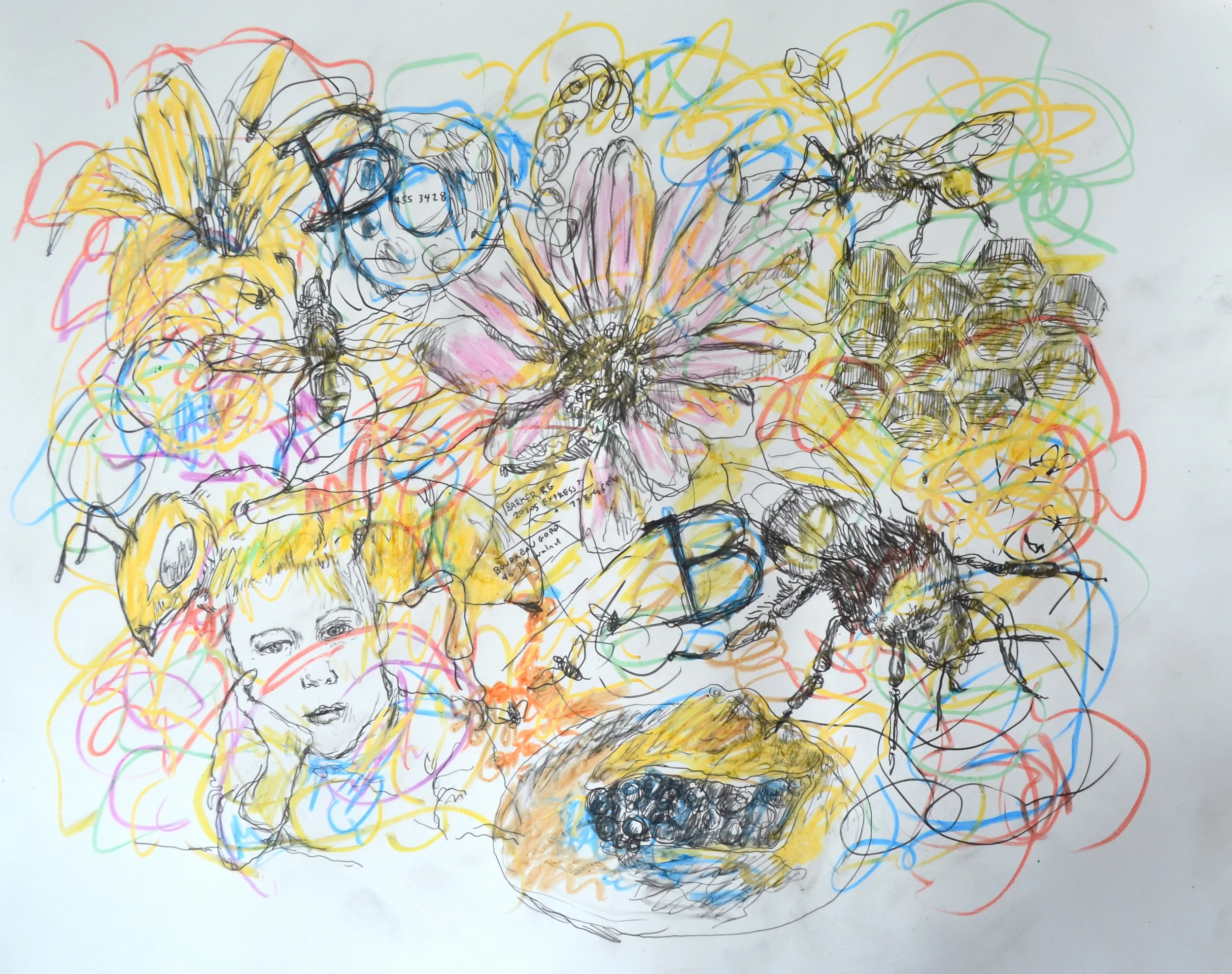 Every B in Chiilwack (drawing detail))